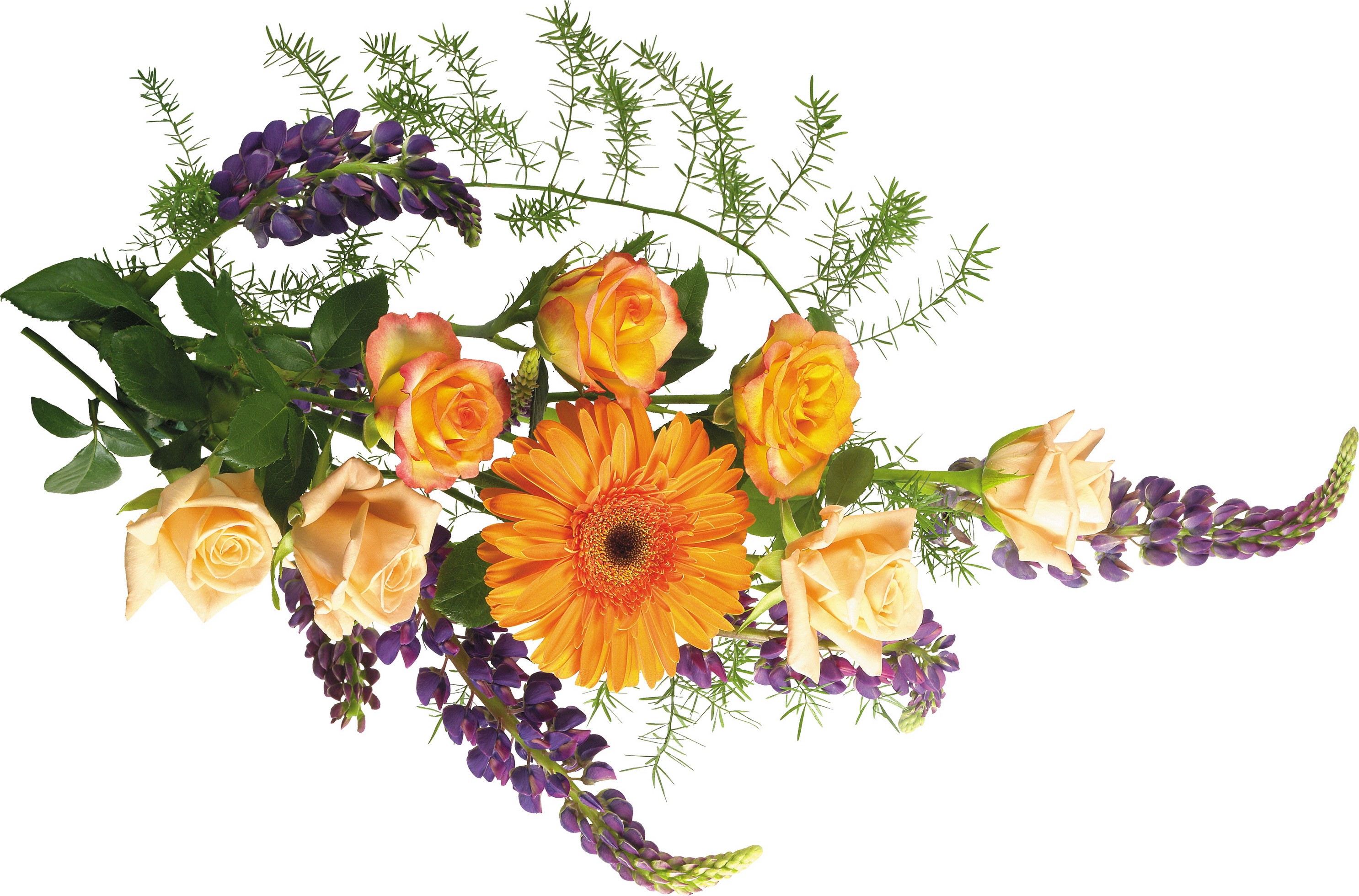 Orange gerbera and peach roses bouquet with purple lupine HD Wallpaper