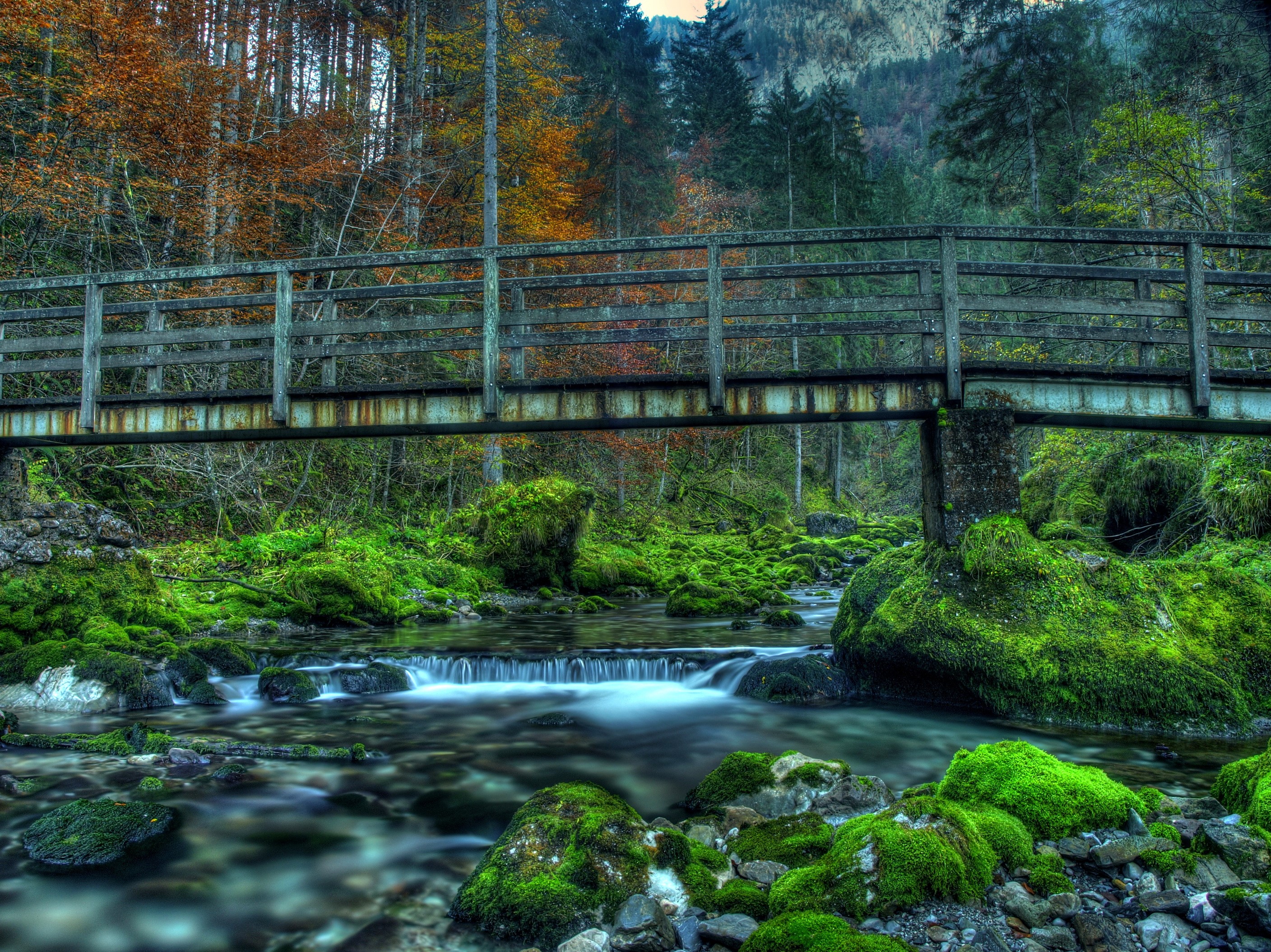 Wooden bridge over a mossy stream in Austria HD Wallpaper