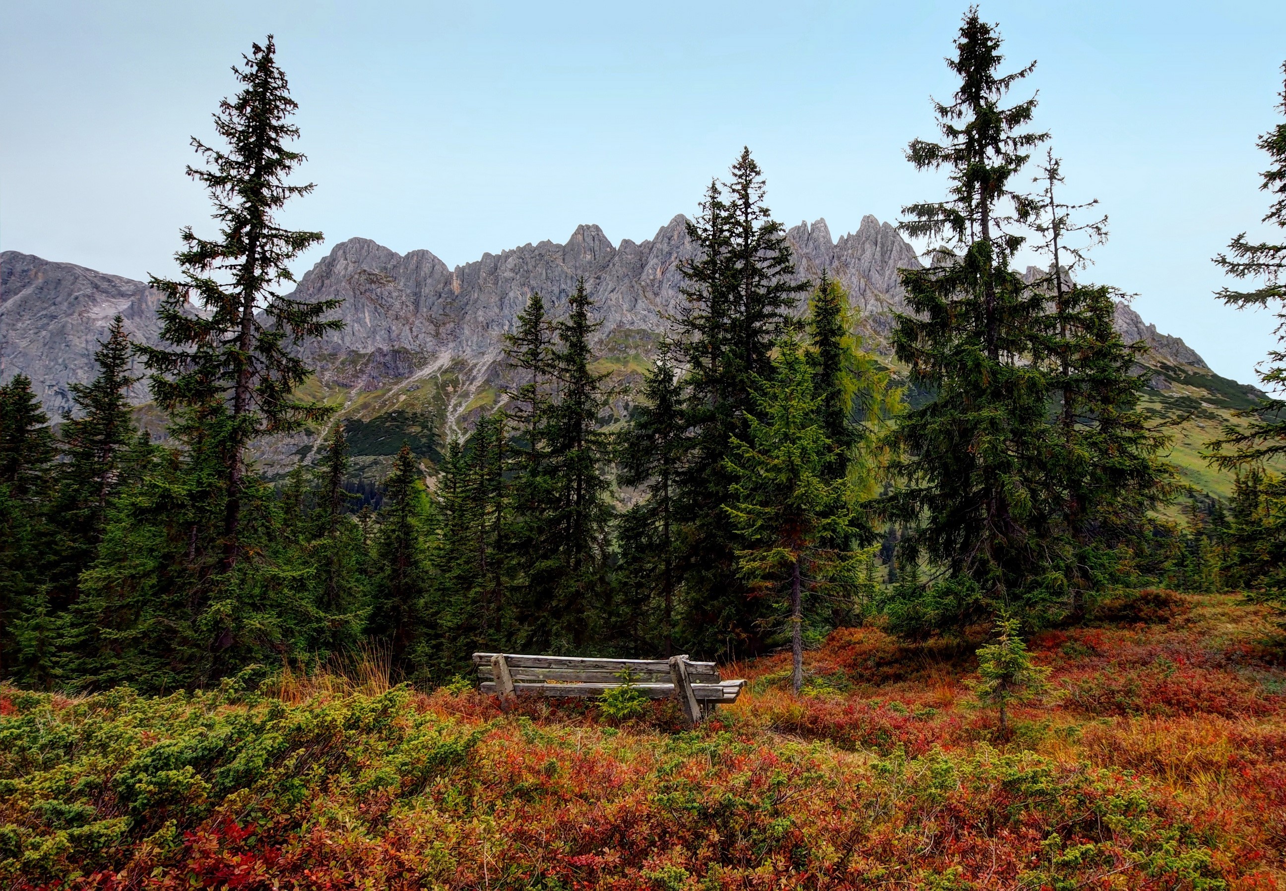 Wooden bench in front of Austrian Alps mountains and spruce trees HD Wallpaper