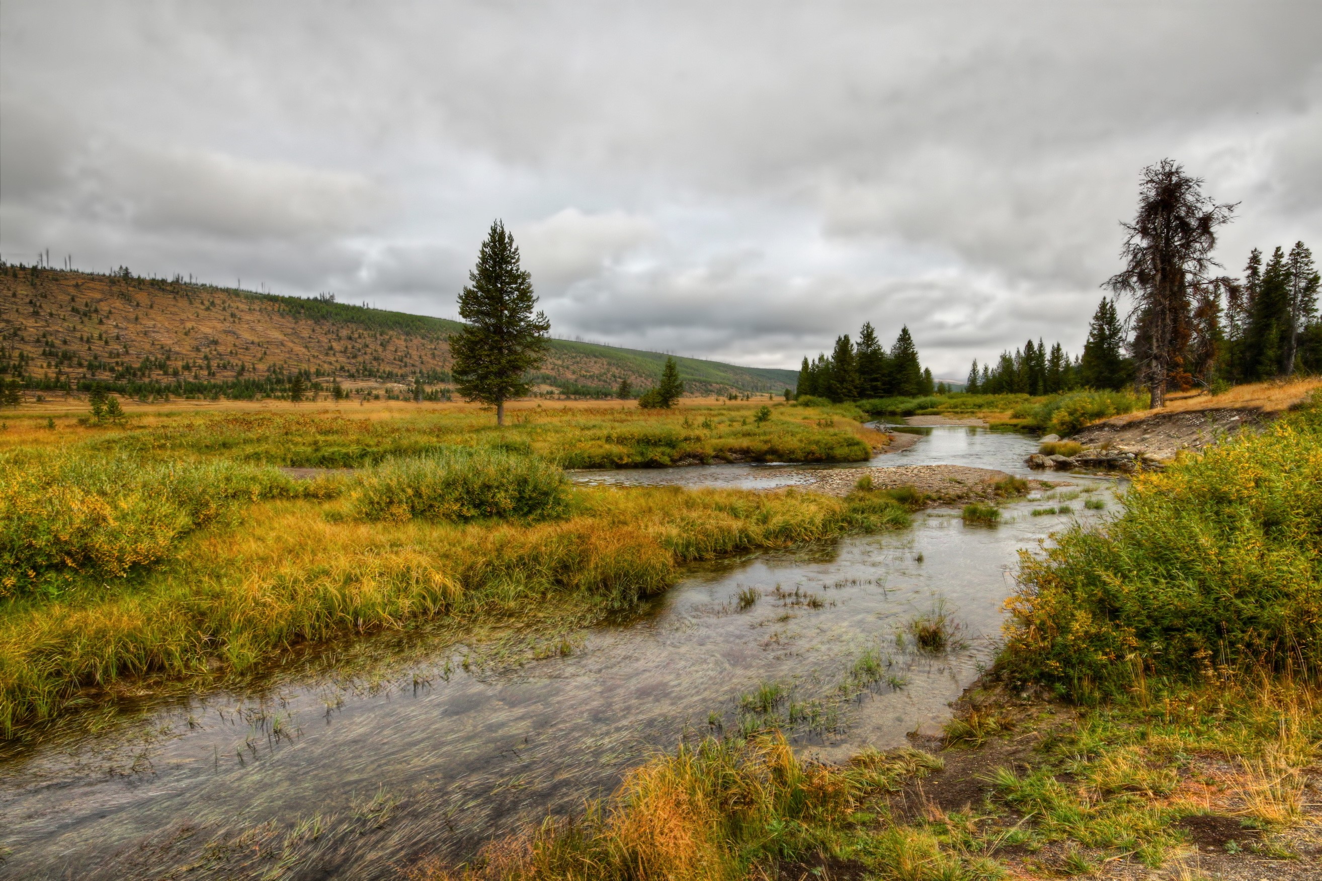 Yellowstone National Park River and Meadow HD Wallpaper