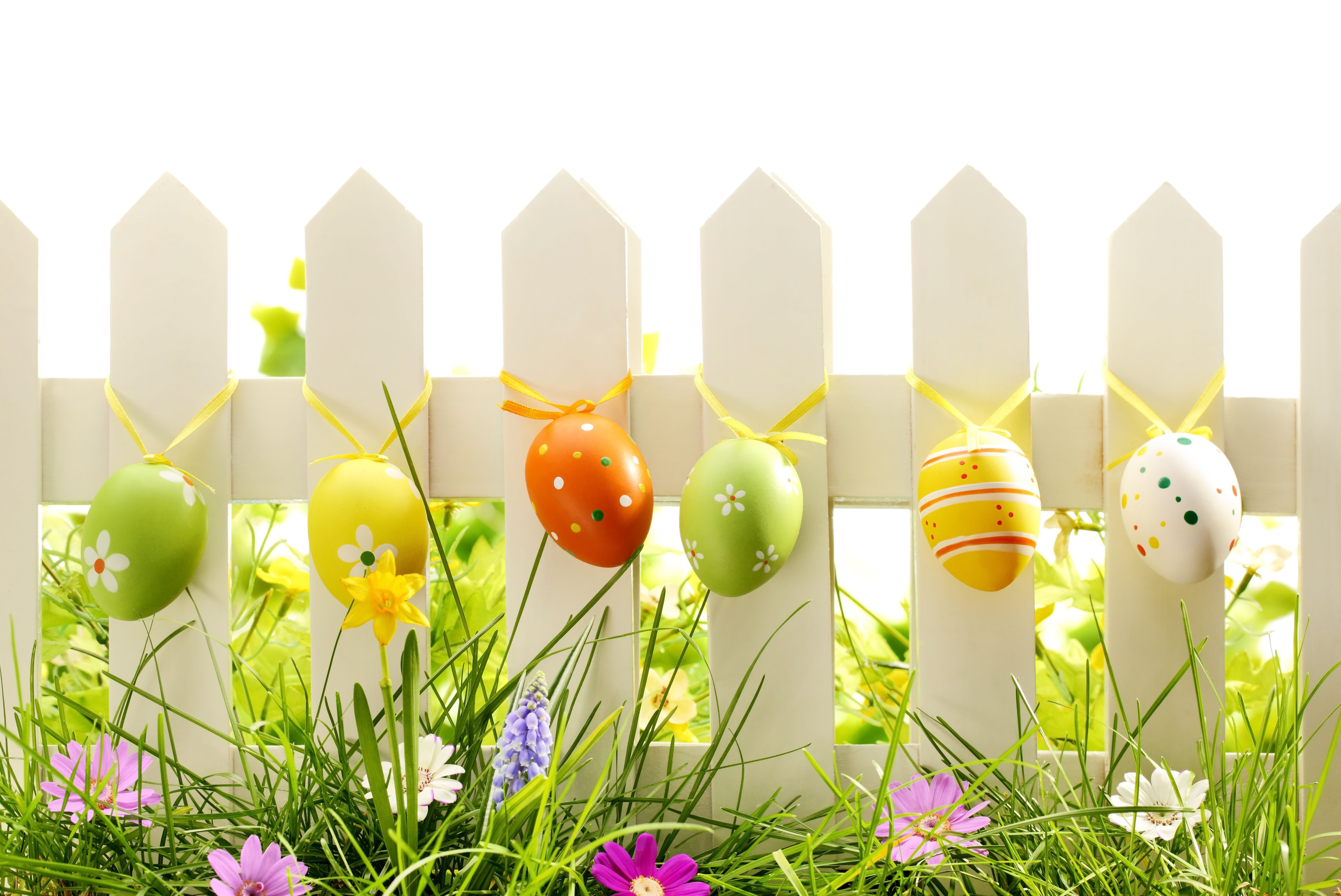 Easter eggs hanging on a white picket fence with grass and flowers HD Wallpaper
