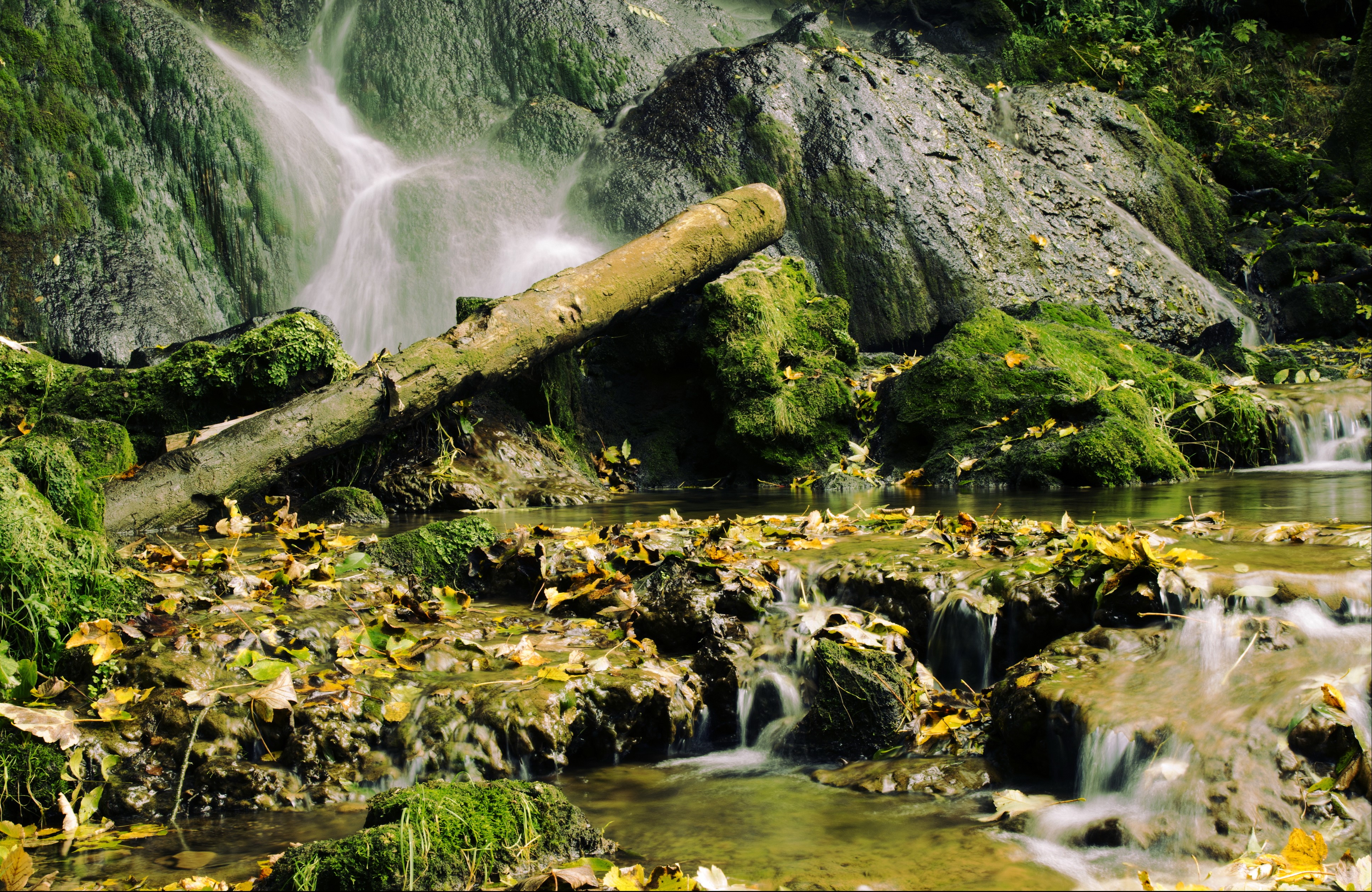 Waterfall with Fallen Autumn Leaves and Mossy Rocks HD Wallpaper