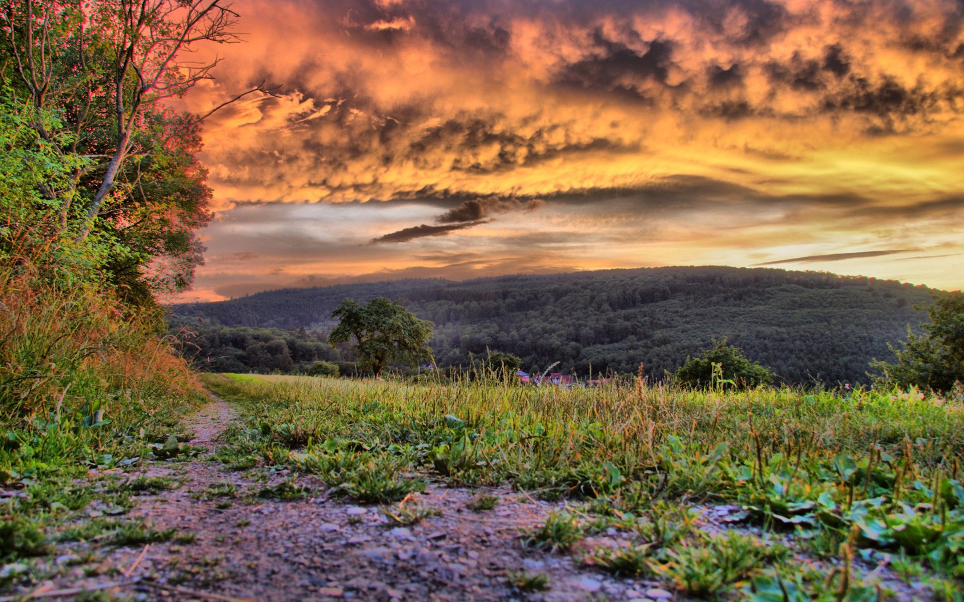 Dirt path through a grassy field at sunset HD Wallpaper