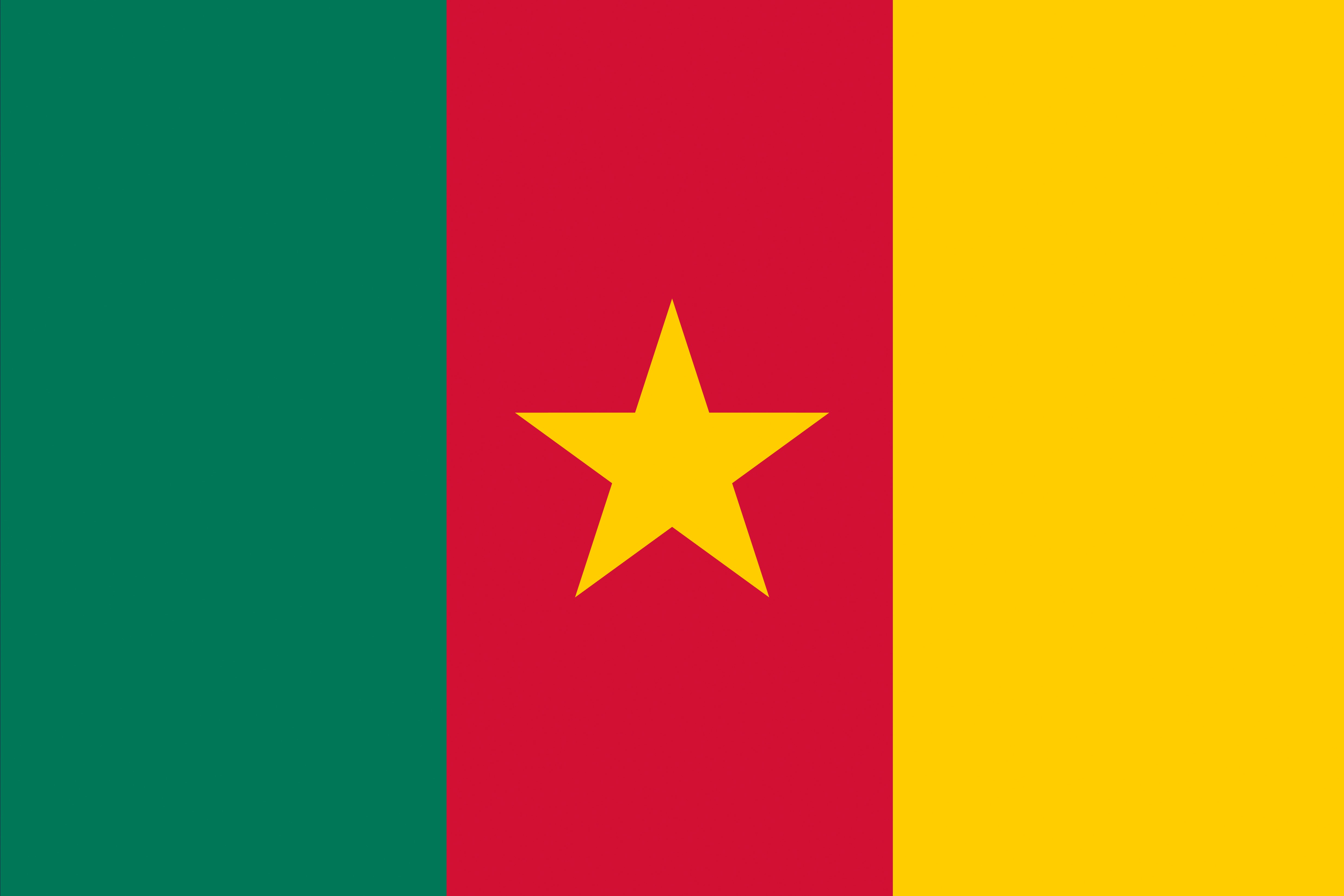 Cameroon Flag Stripes HD Wallpaper Rare Gallery