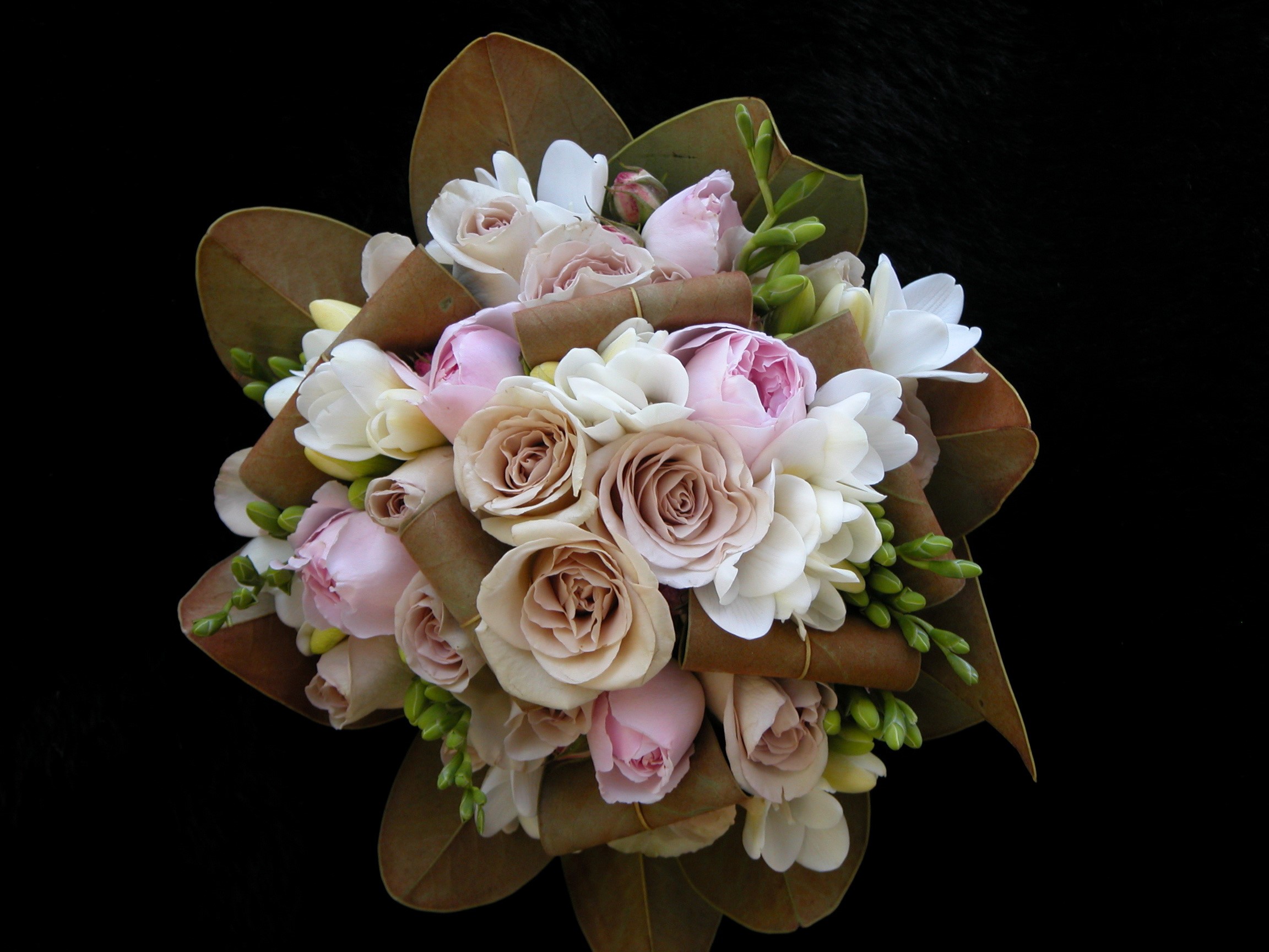 Bouquet of Roses and Freesia with Magnolia Leaves HD Wallpaper