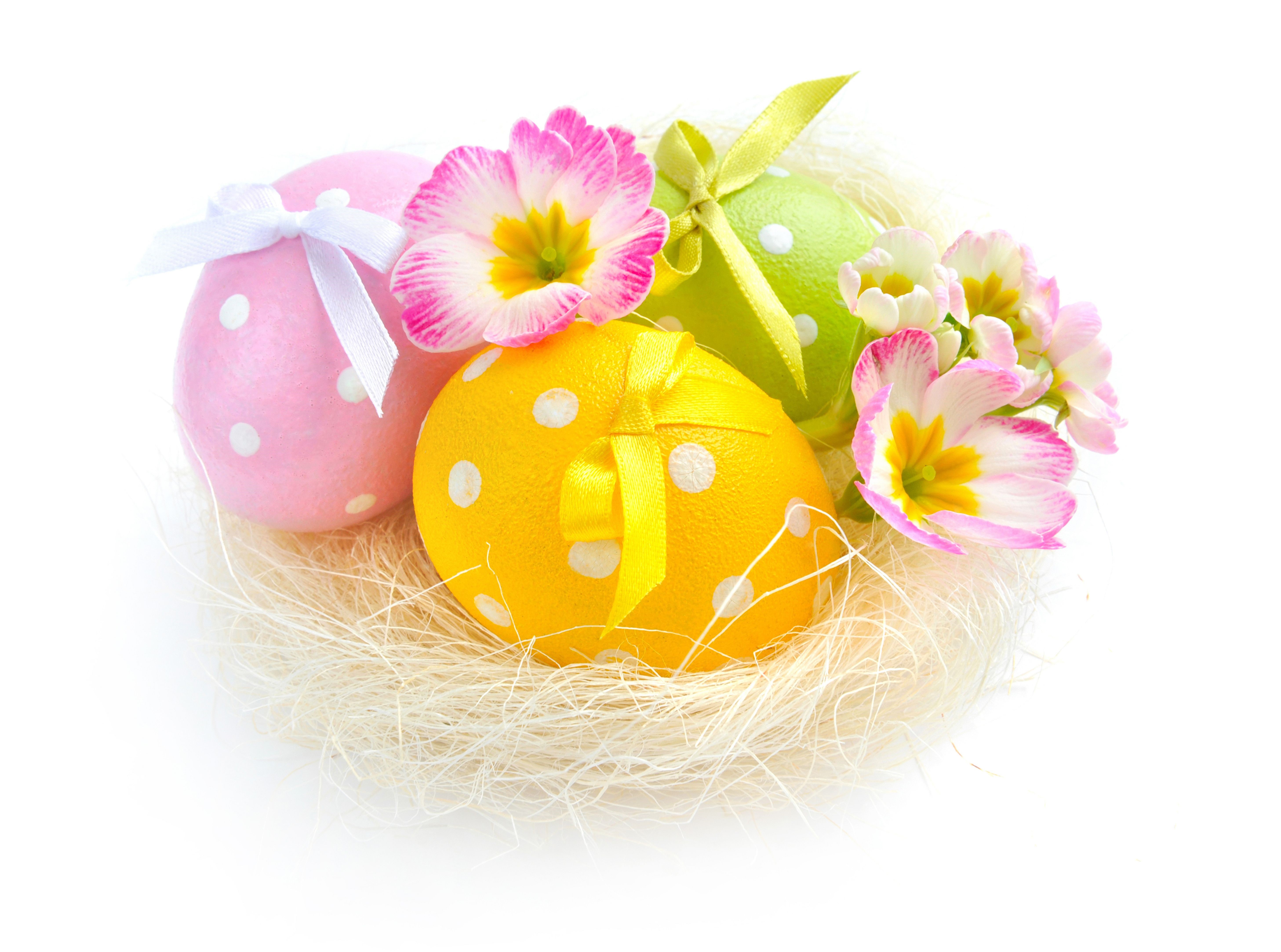 Easter eggs in a nest with flowers HD Wallpaper