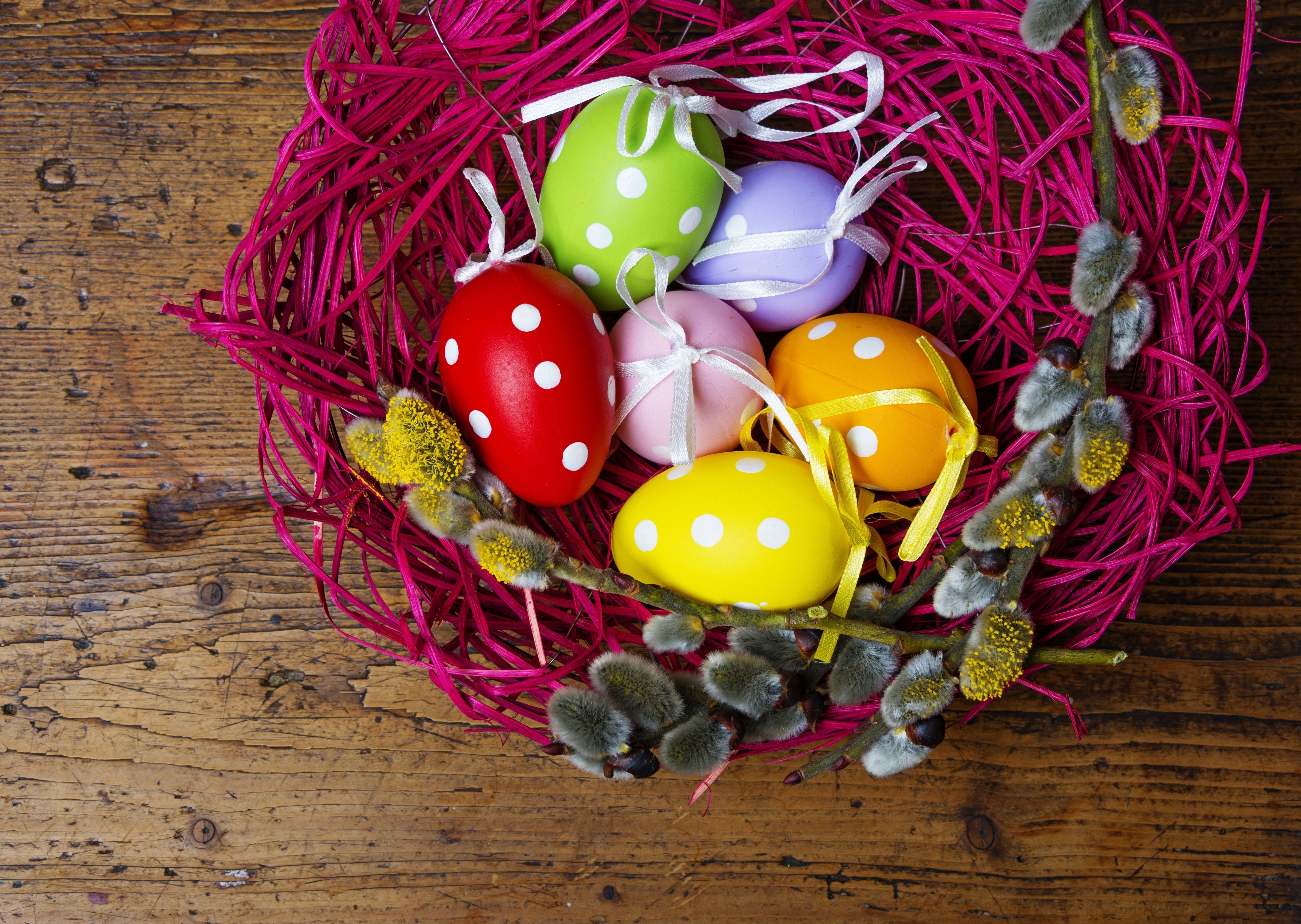 Easter Eggs in a Nest with Pussy Willows HD Wallpaper