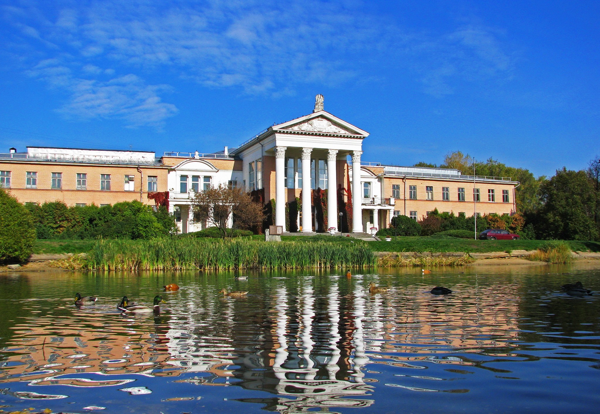 Building with columns reflected in a pond with ducks HD Wallpaper
