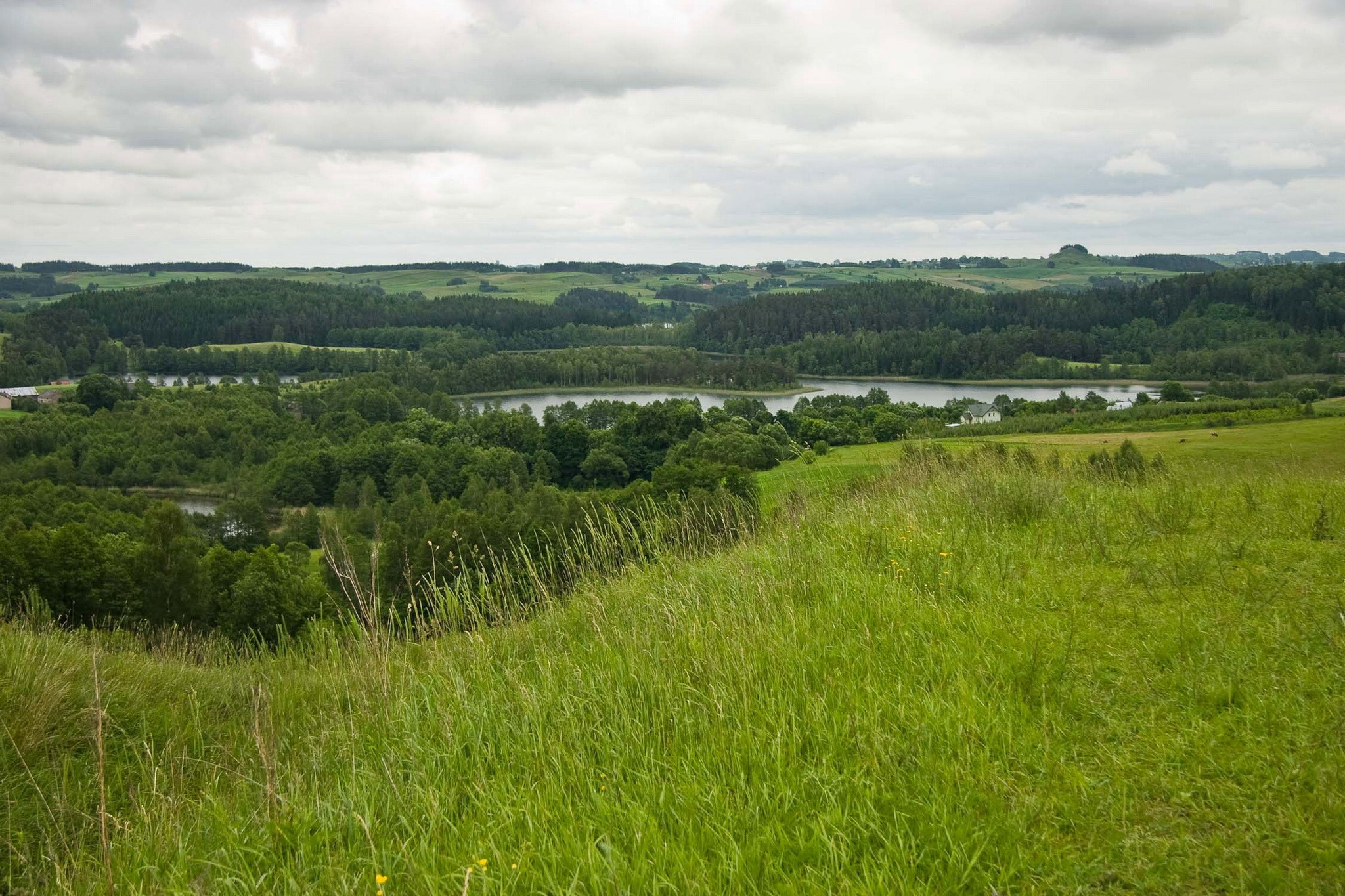 Rolling green hills with lakes and forests under cloudy sky HD Wallpaper