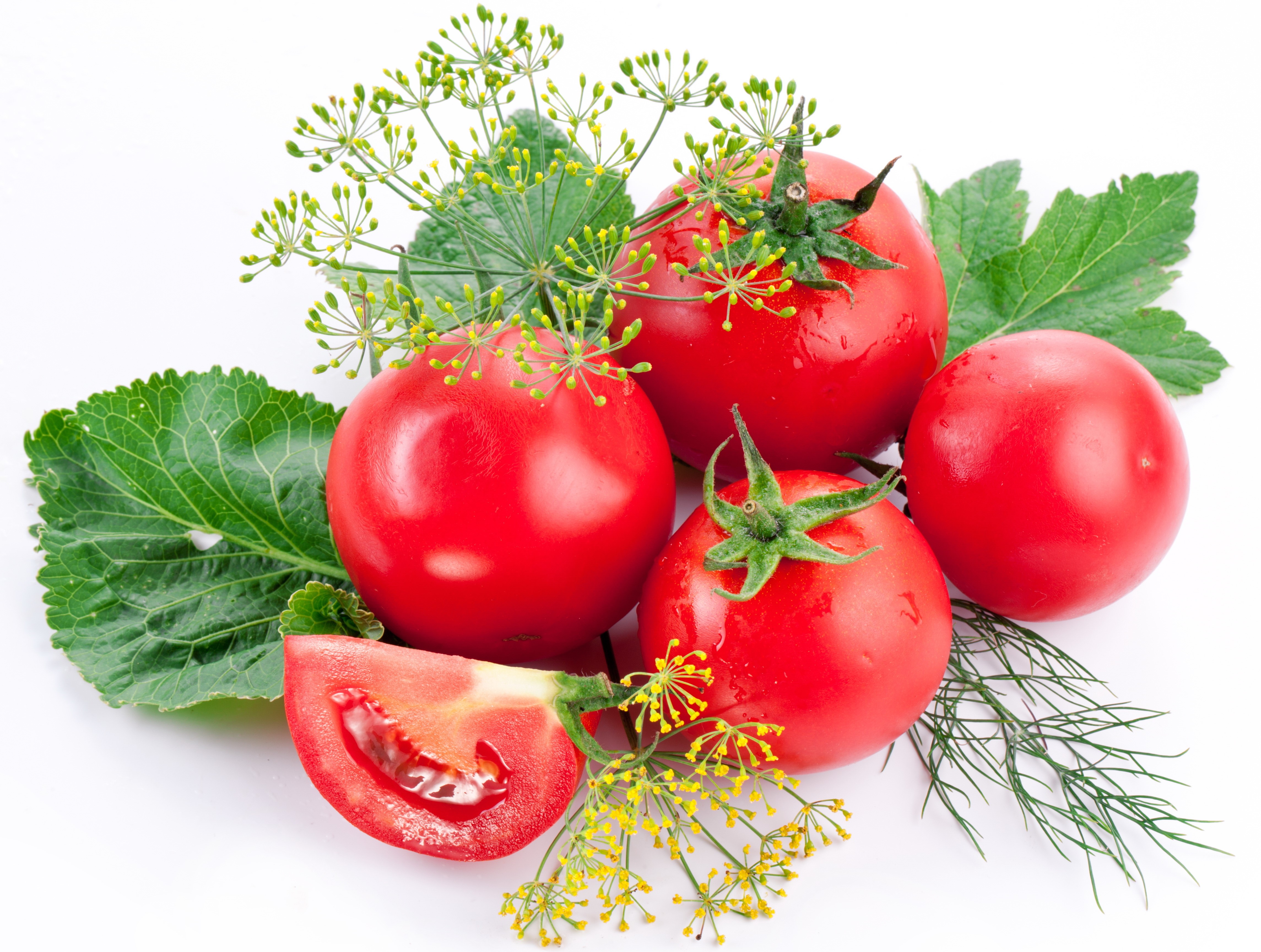 Tomatoes and Dill HD Wallpaper