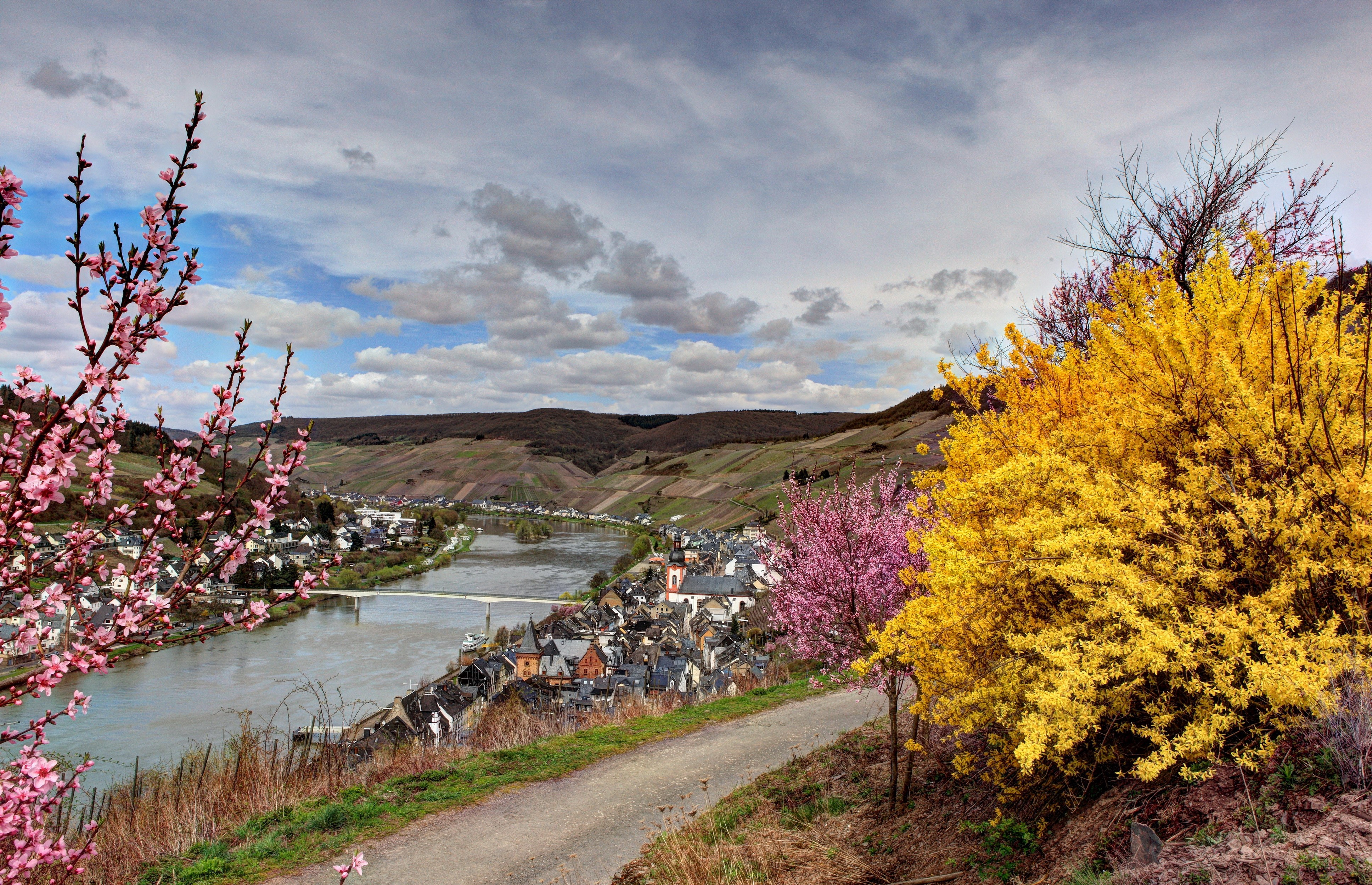 4K Zell Germany River Valley with Spring Blossoms HD Wallpaper