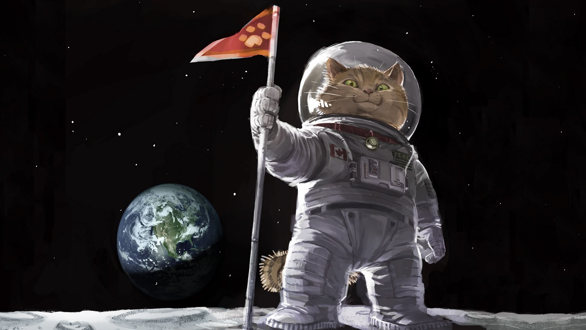 Cat astronaut planting a flag on the moon with Earth in the background HD Wallpaper