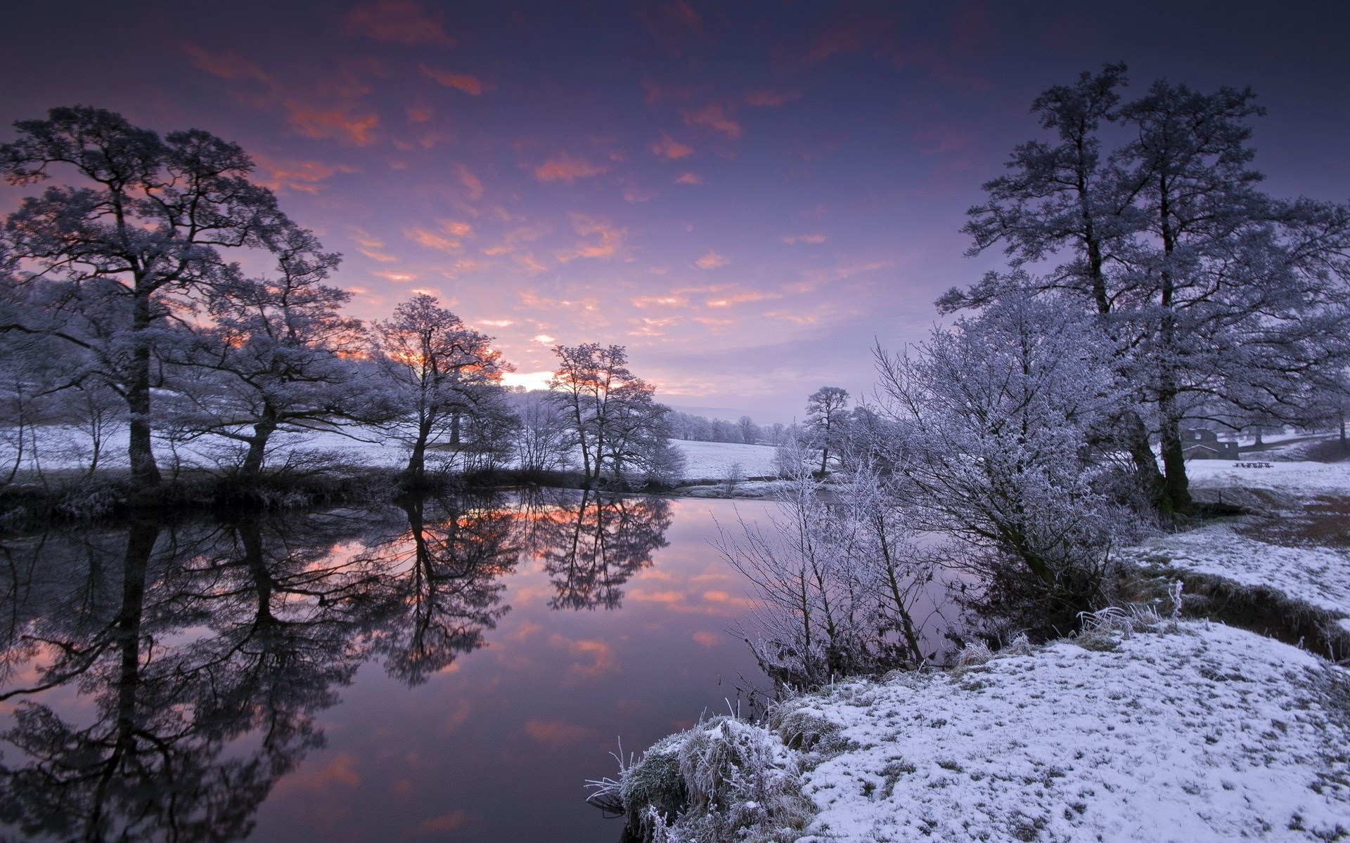 Winter sunrise over a frosted river with trees HD Wallpaper