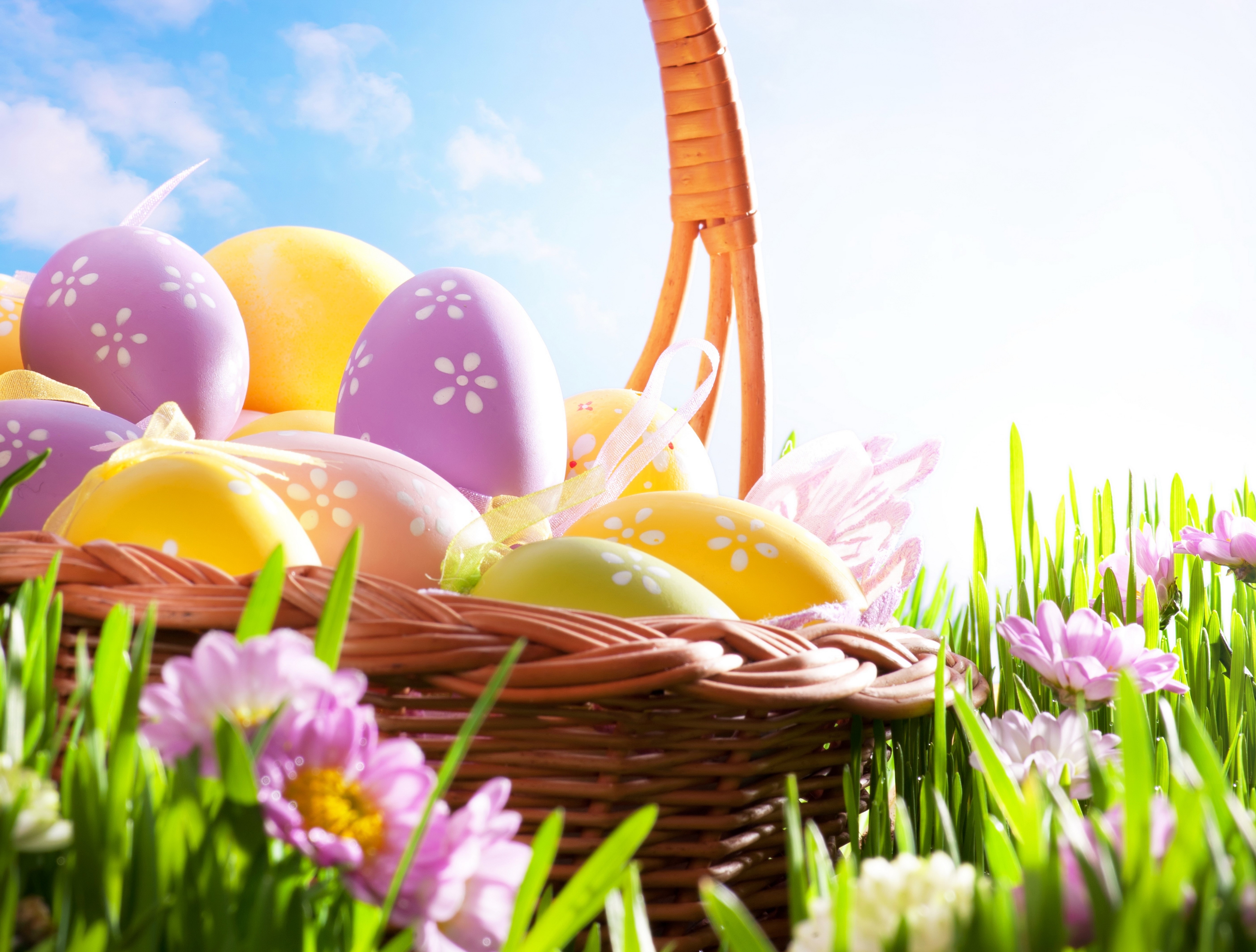 Easter eggs in a wicker basket on grass HD Wallpaper