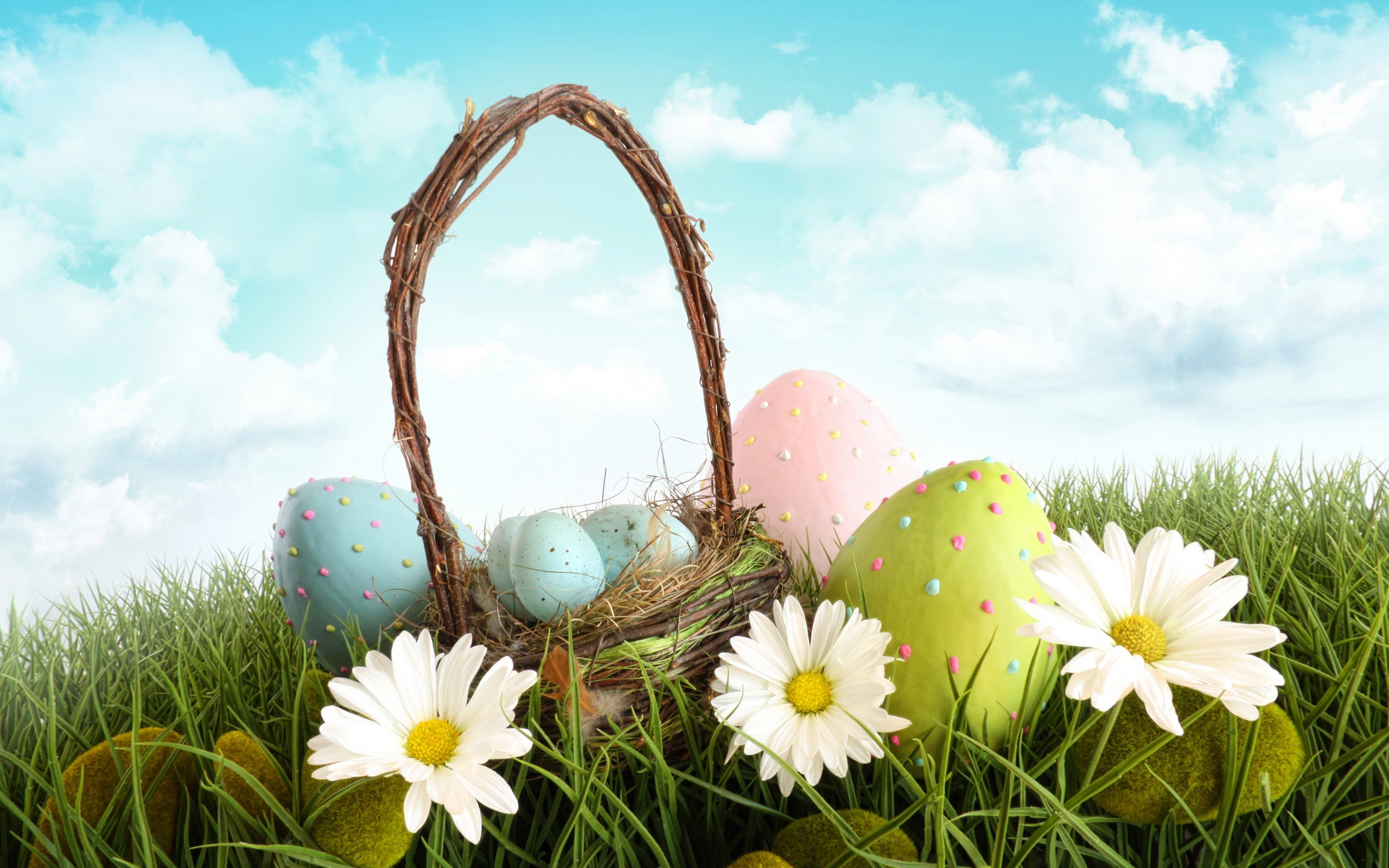 Easter eggs in a basket with flowers on grass HD Wallpaper