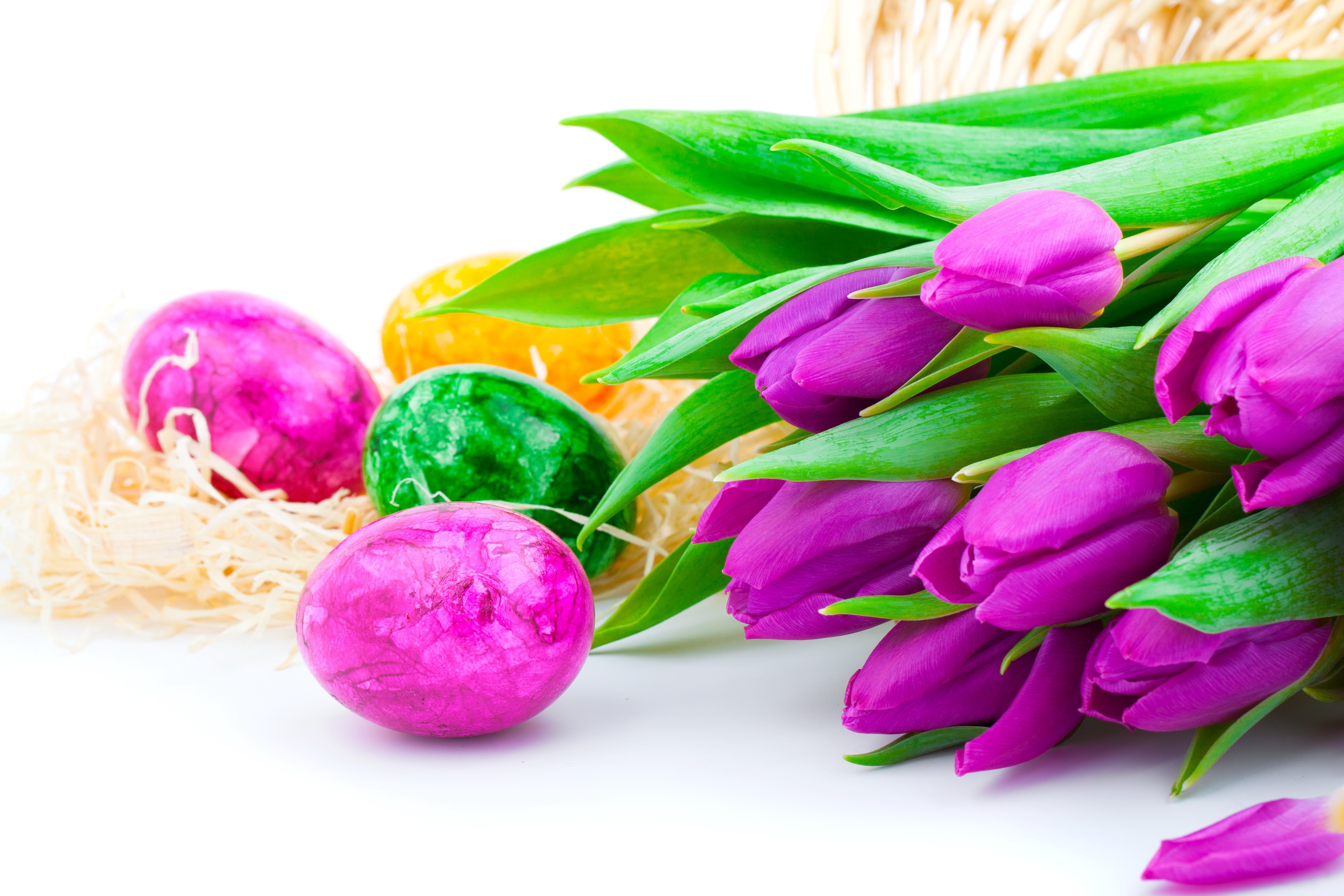 Easter Tulips and Eggs HD Wallpaper