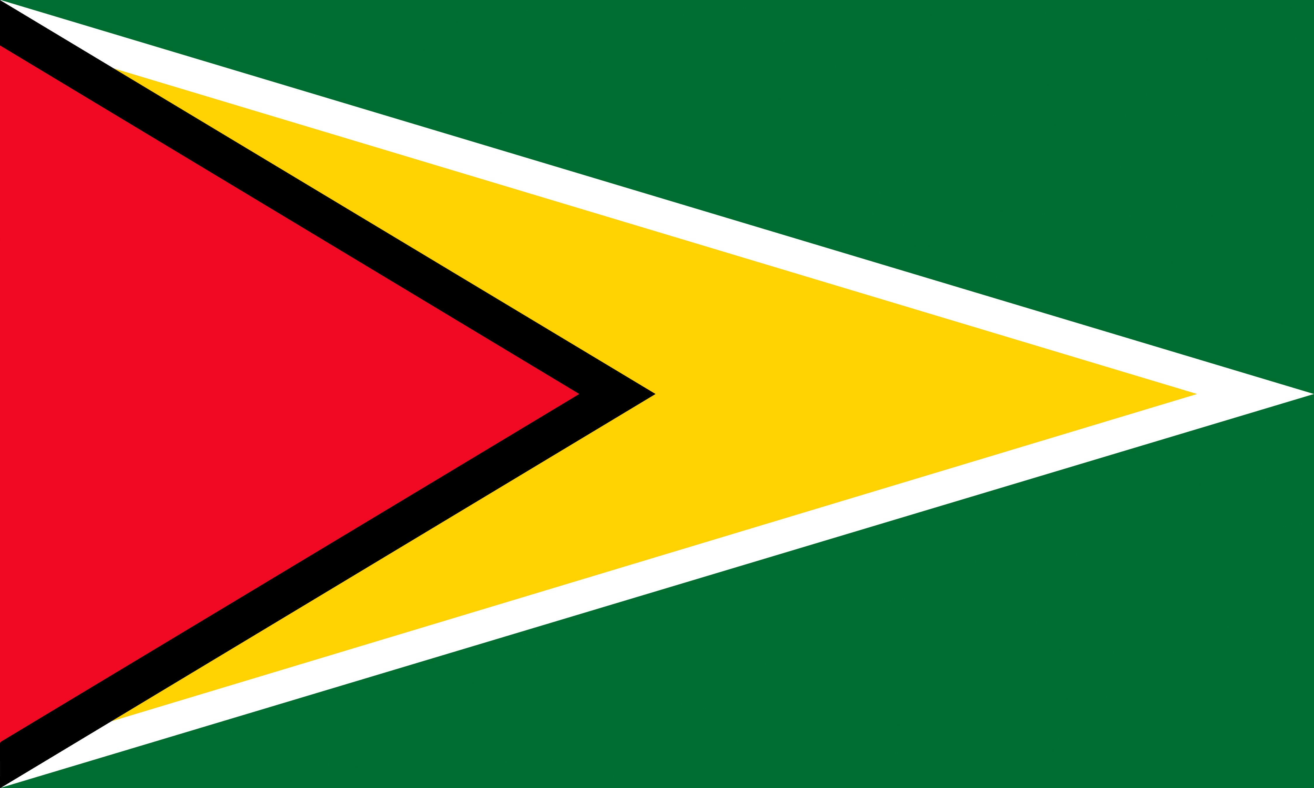 Flag of Guyana HD Wallpaper