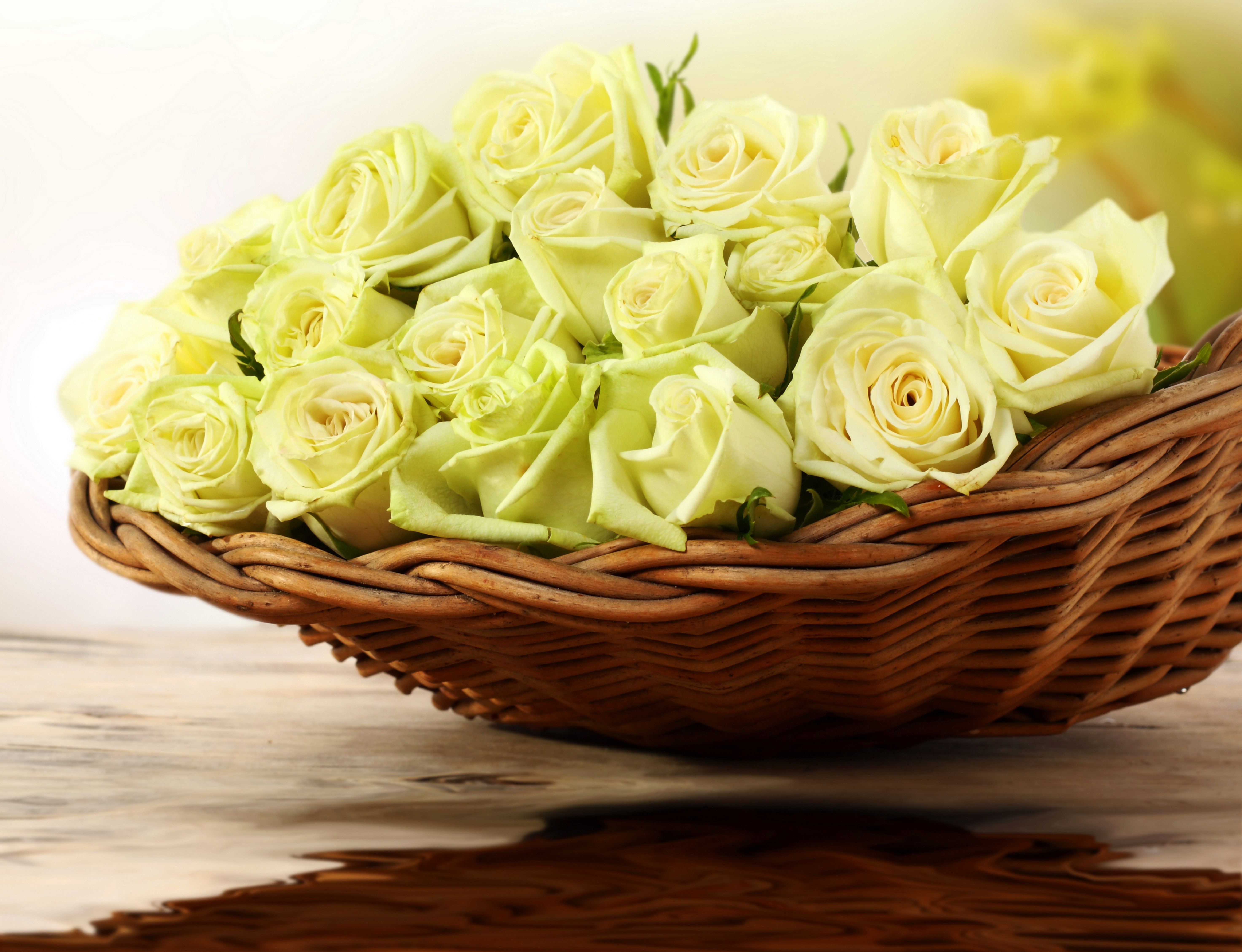White Roses in a Wicker Basket HD Wallpaper