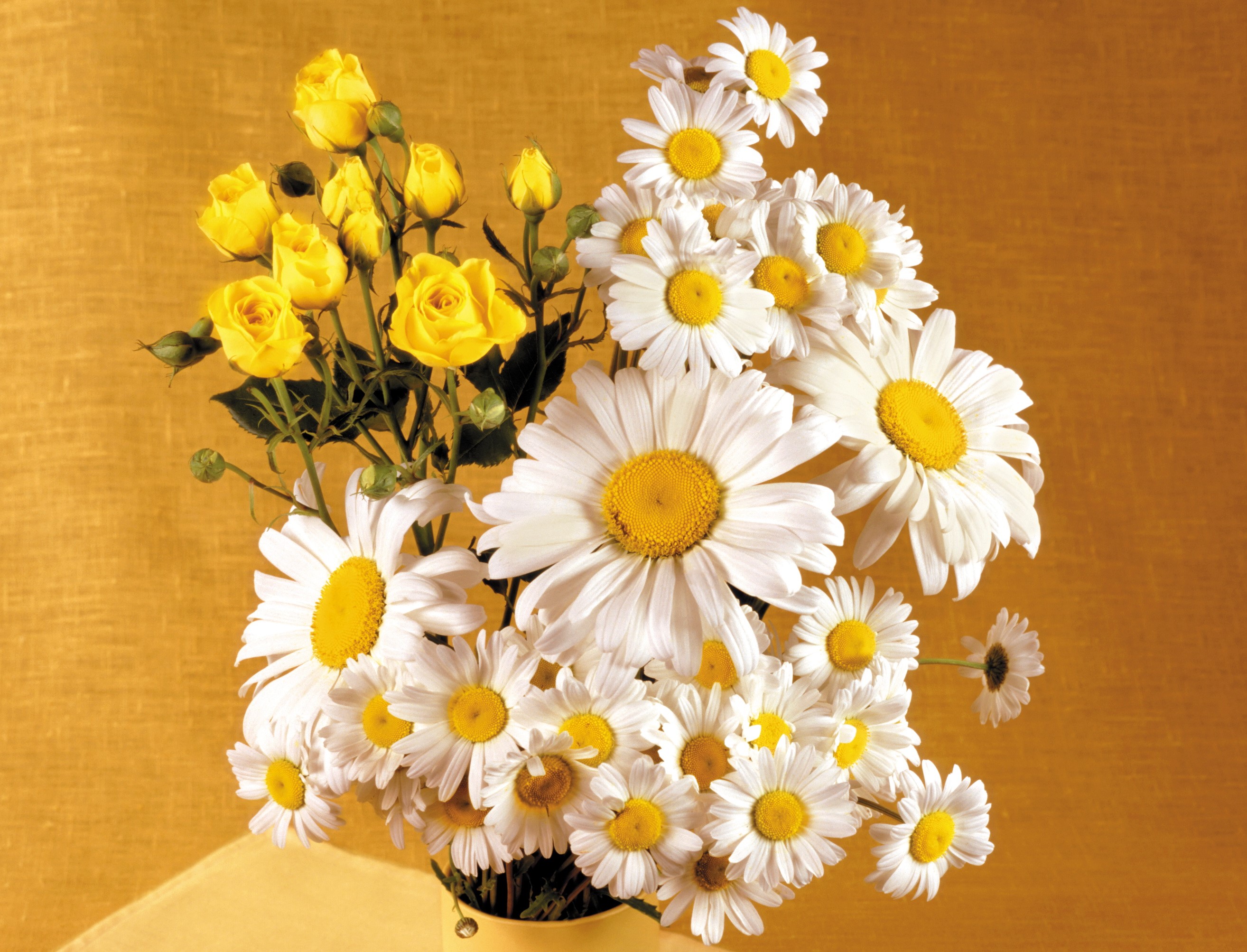 Bouquet of yellow roses and white daisies HD Wallpaper