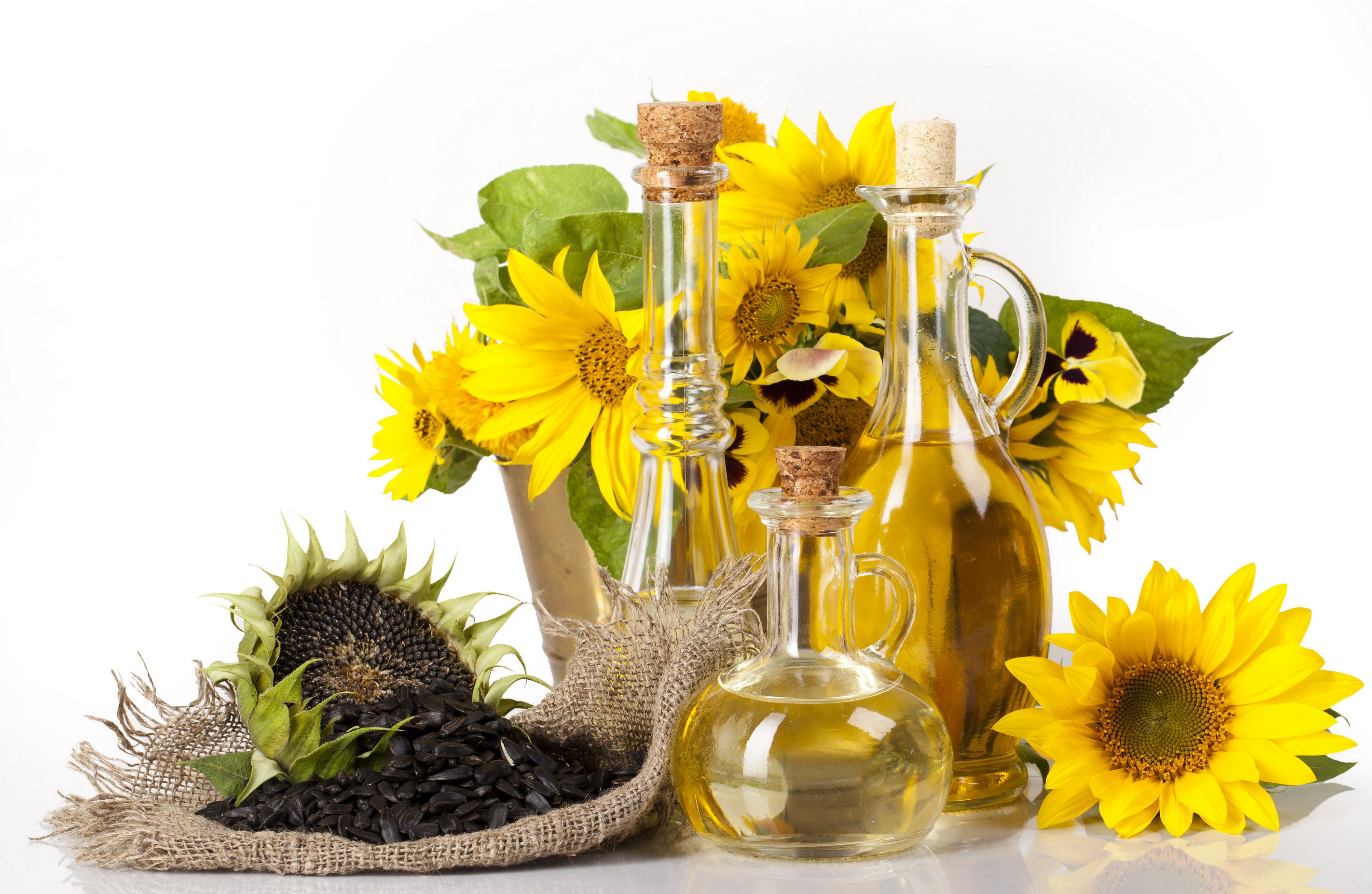 Sunflower oil with sunflowers and seeds HD Wallpaper