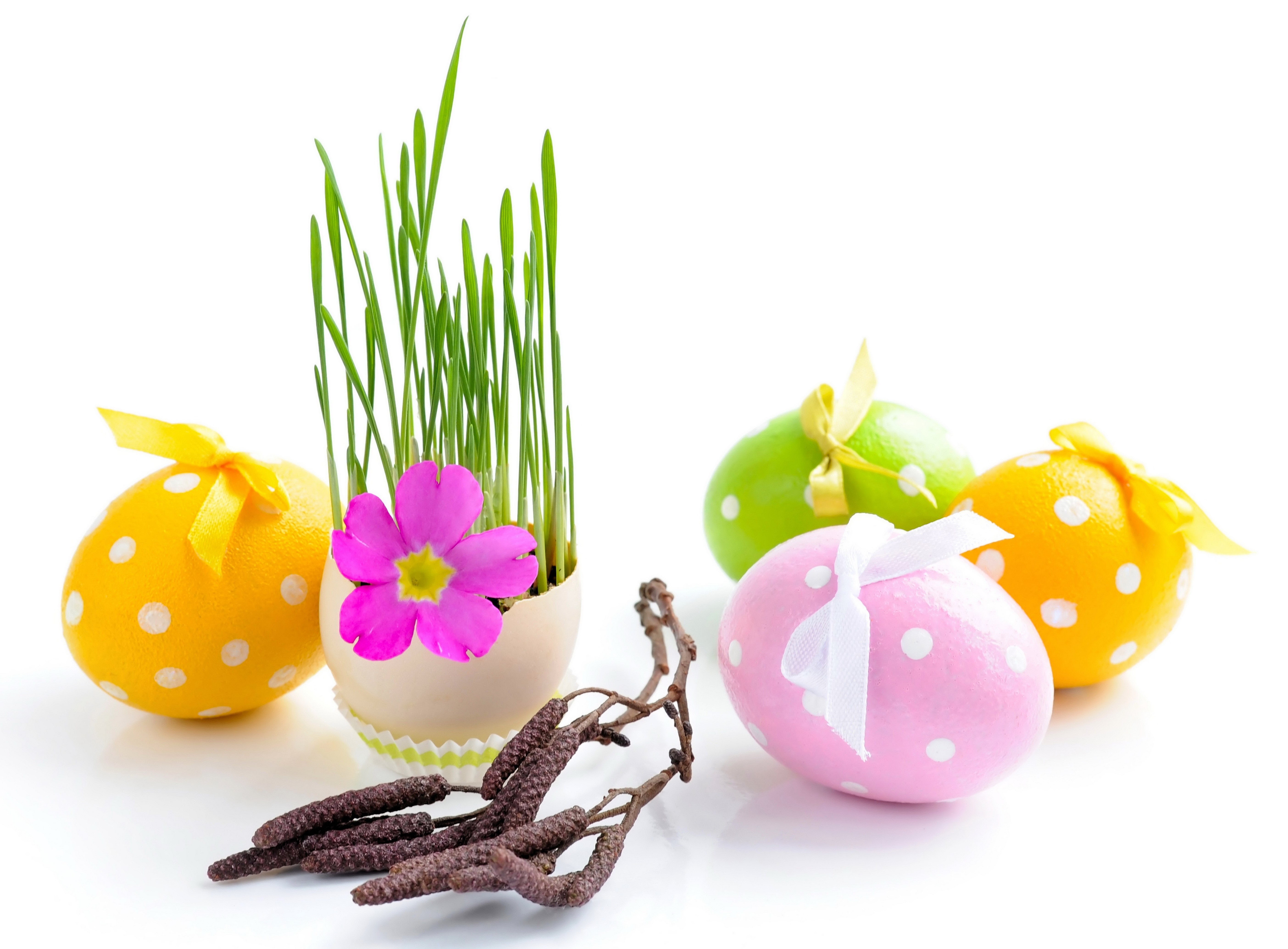 Easter eggs with grass and flower HD Wallpaper