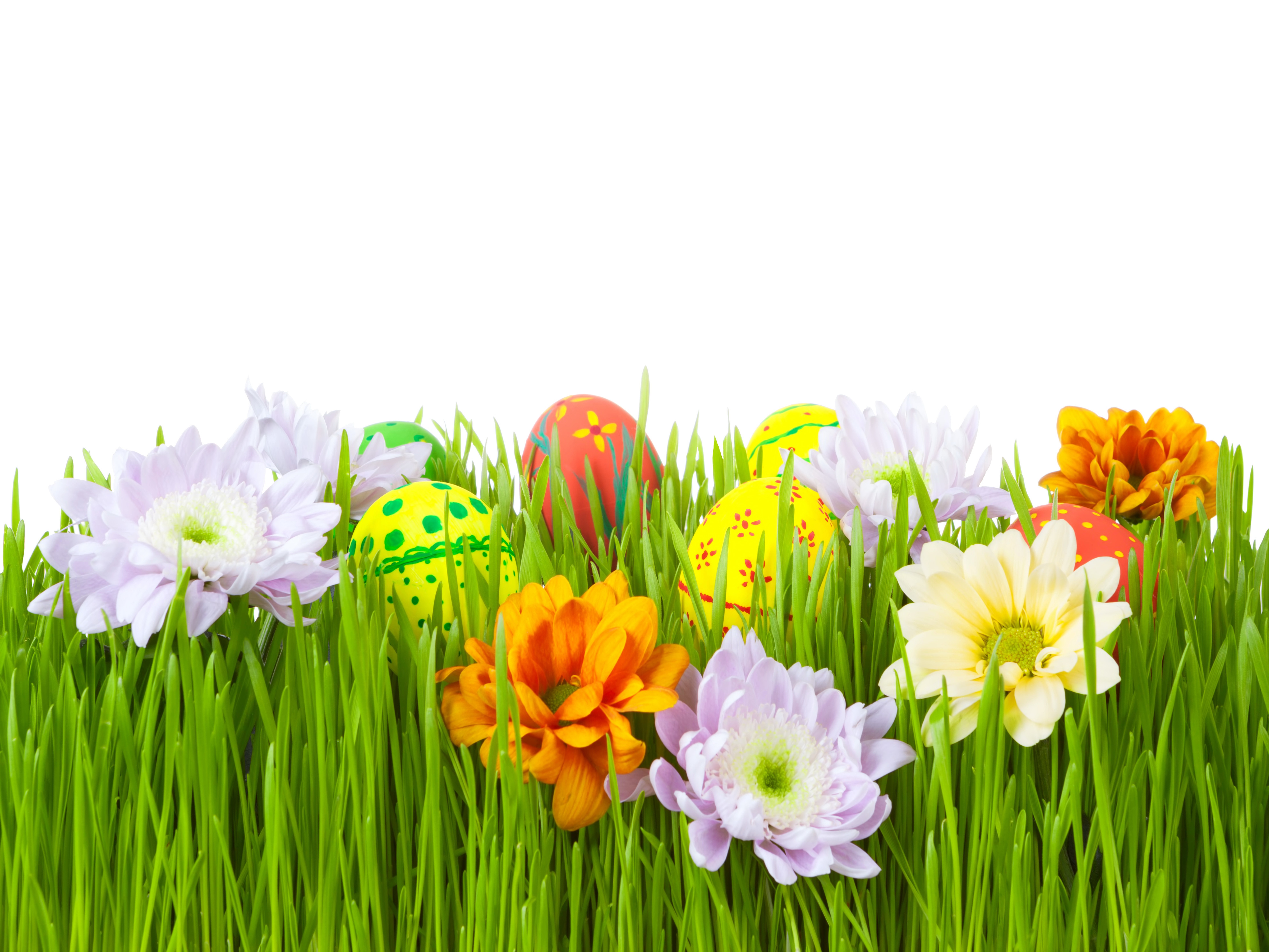 Easter Eggs and Flowers in Green Grass HD Wallpaper