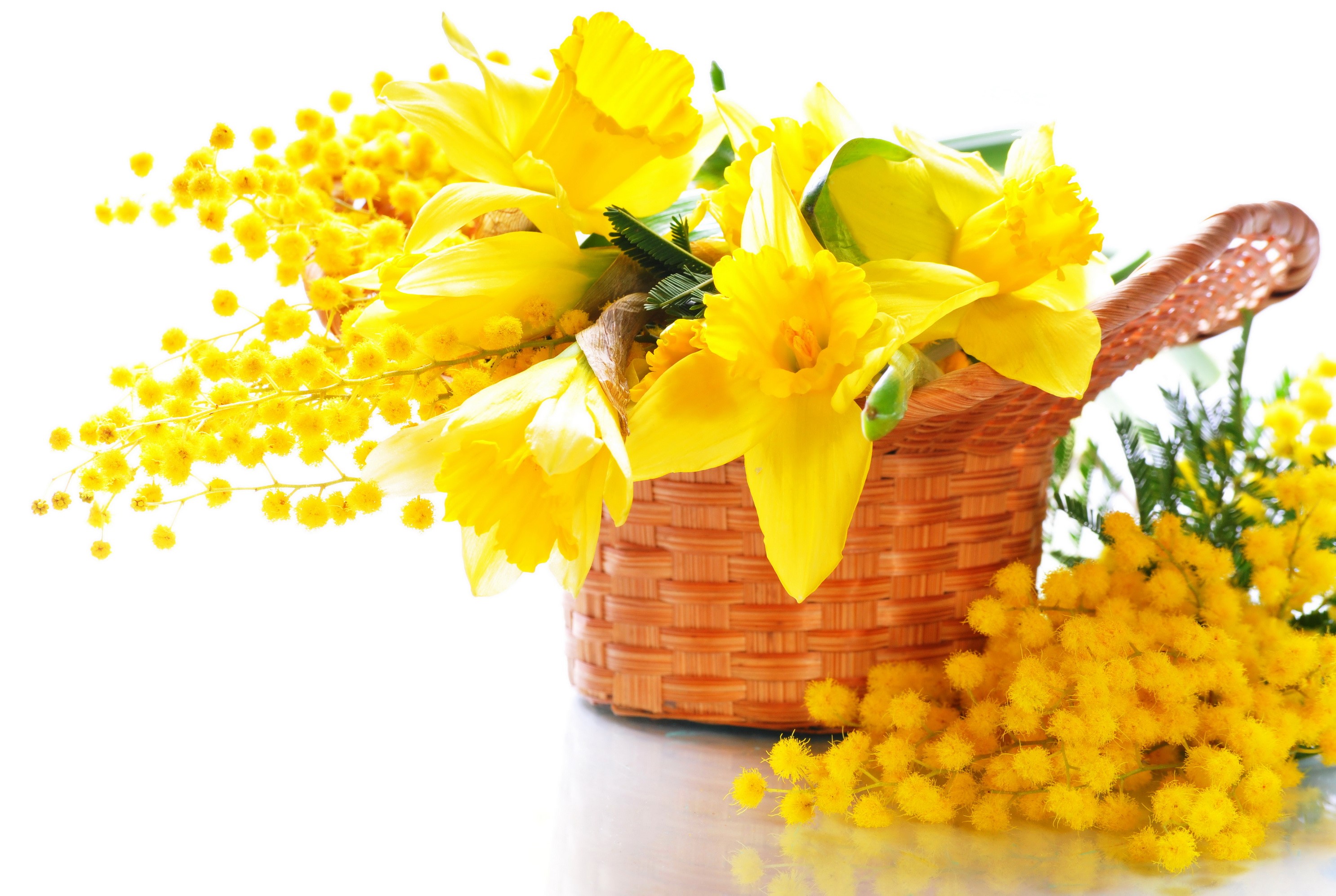 Yellow Daffodils and Mimosa Flowers in a Basket HD Wallpaper