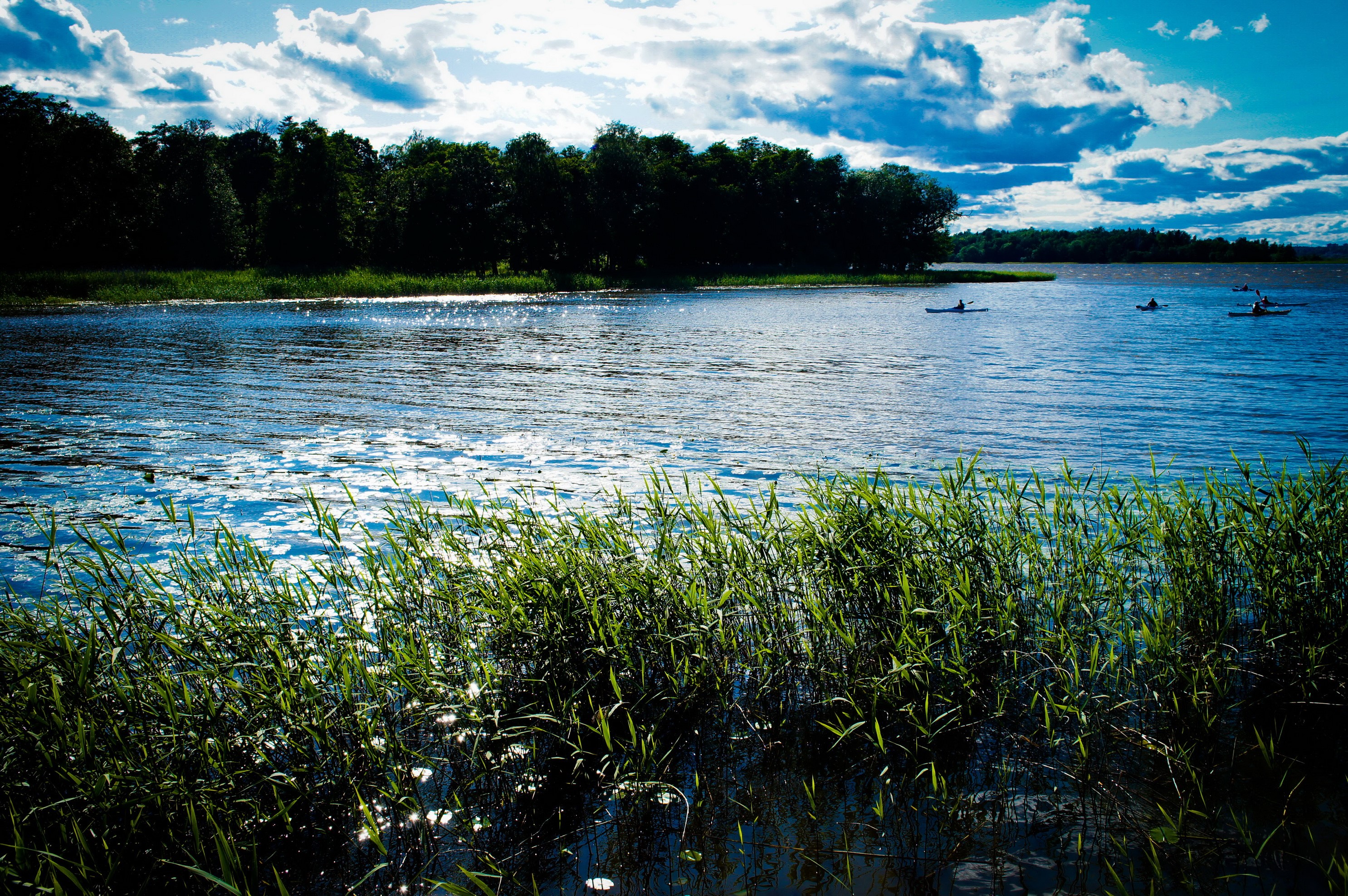 Kayakers on a lake in Sweden with grass in the foreground HD Wallpaper