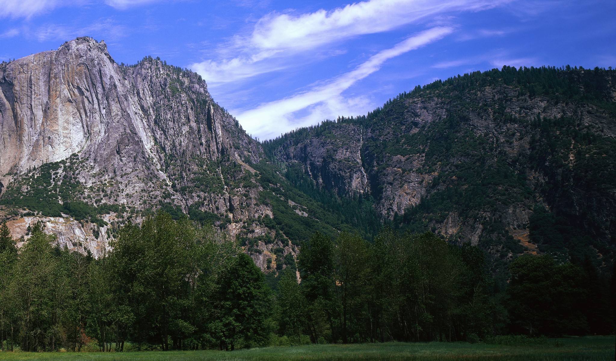 Mountains and forest in Yosemite Valley HD Wallpaper