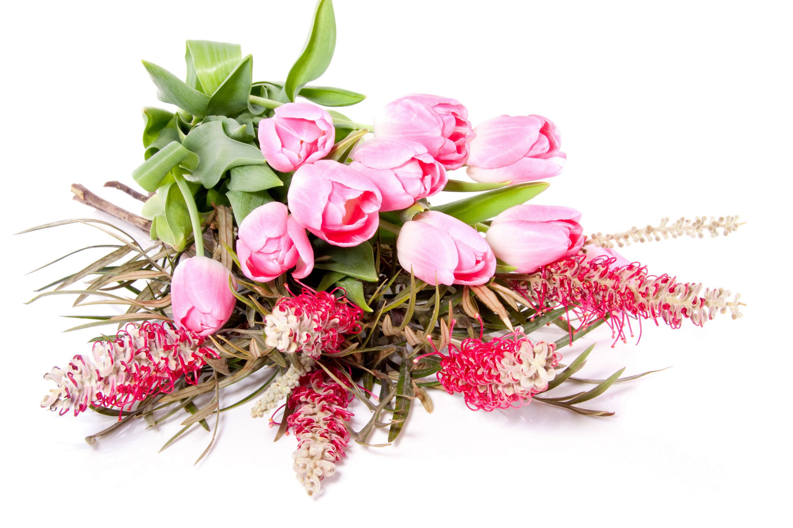 Pink Tulips and Grevillea Bouquet HD Wallpaper