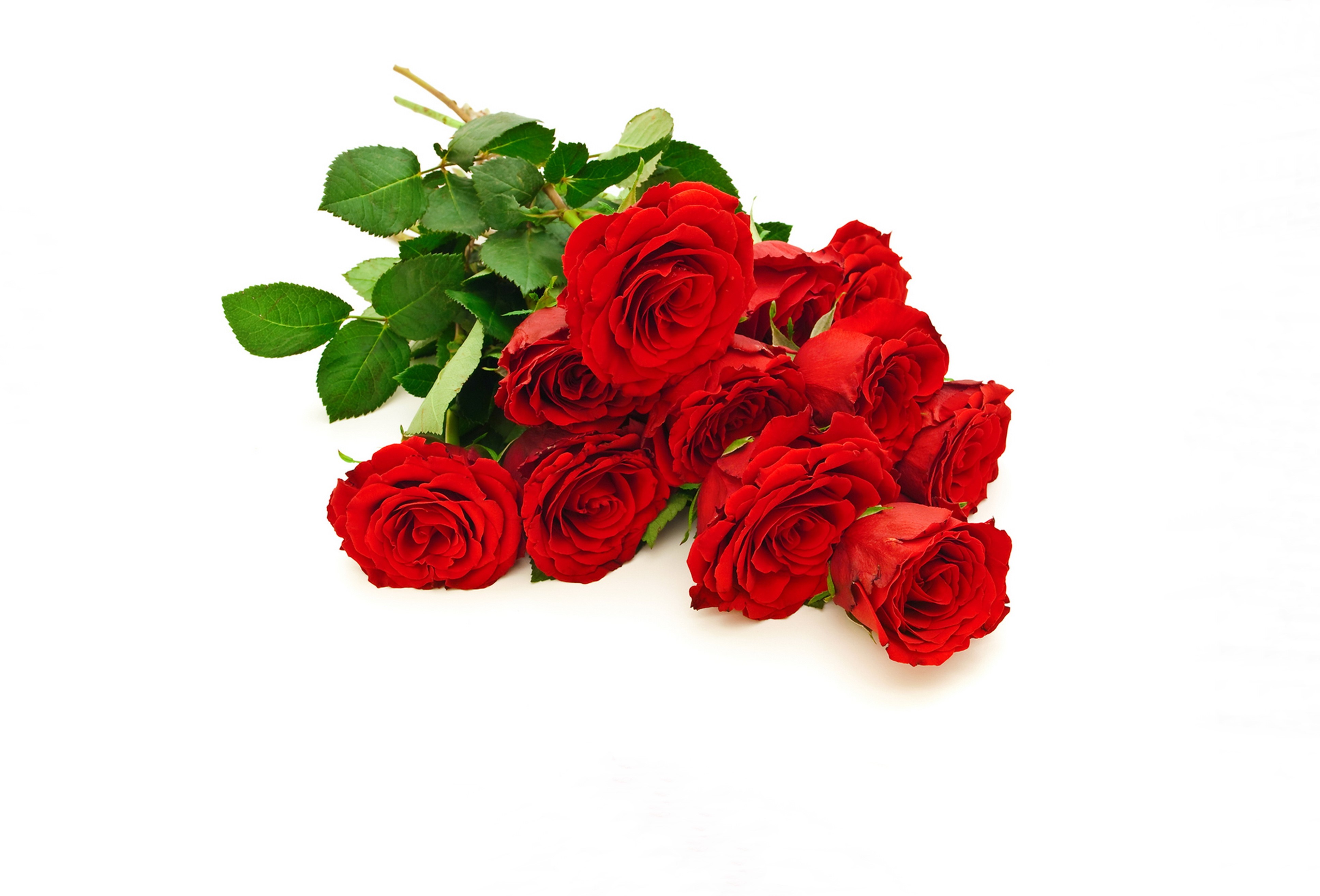 Bouquet of Red Roses HD Wallpaper