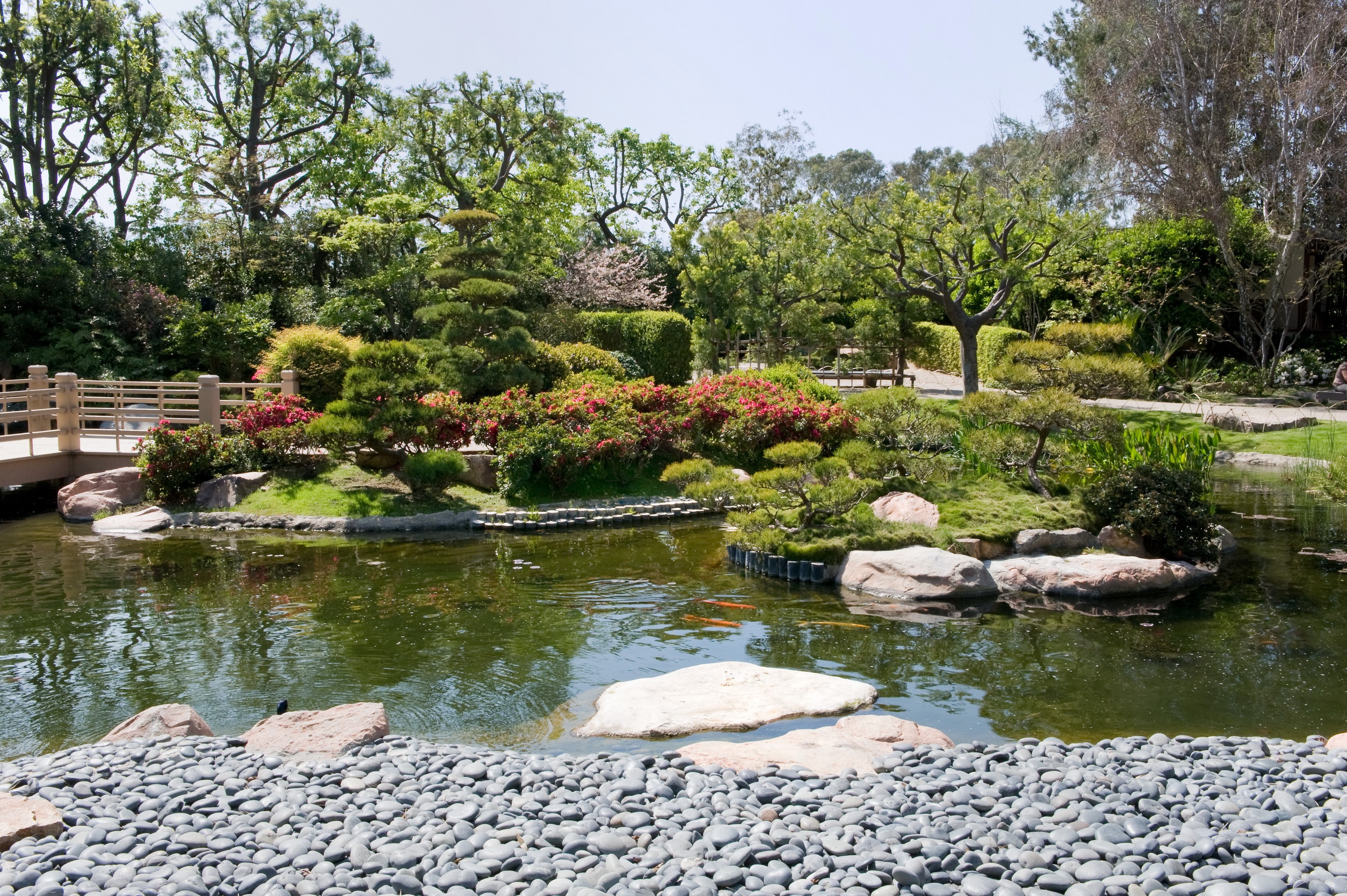 Earl Burns Miller Japanese Garden, California HD Wallpaper