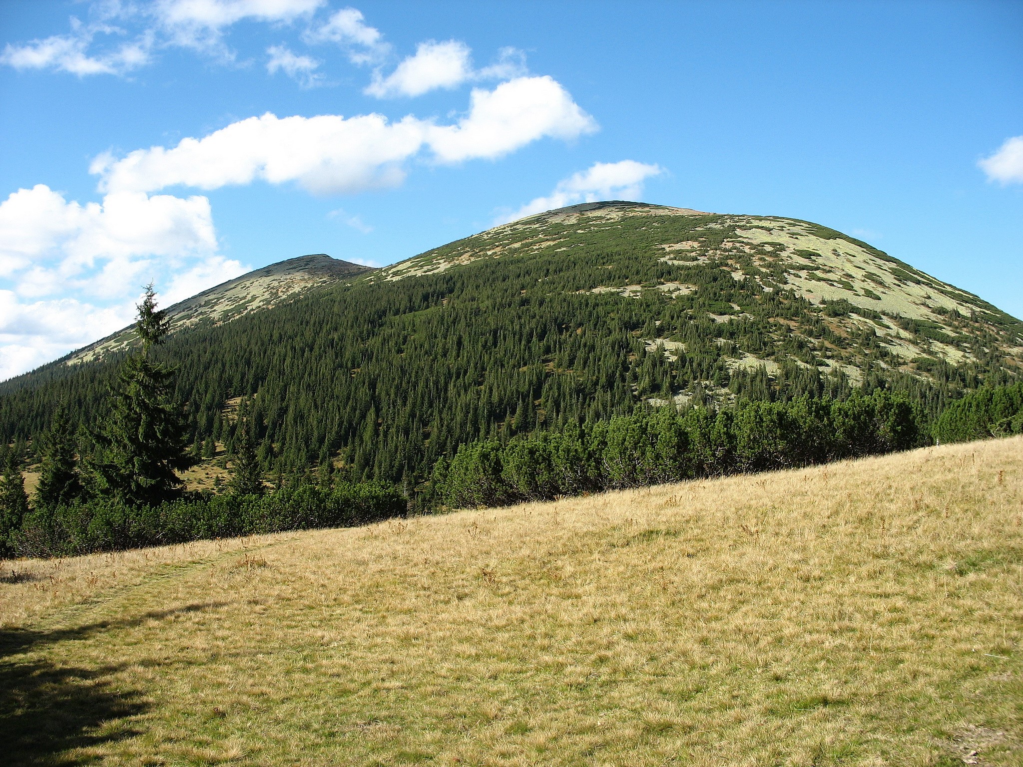 Mountains in Ukraine, Carpathian Scenery HD Wallpaper