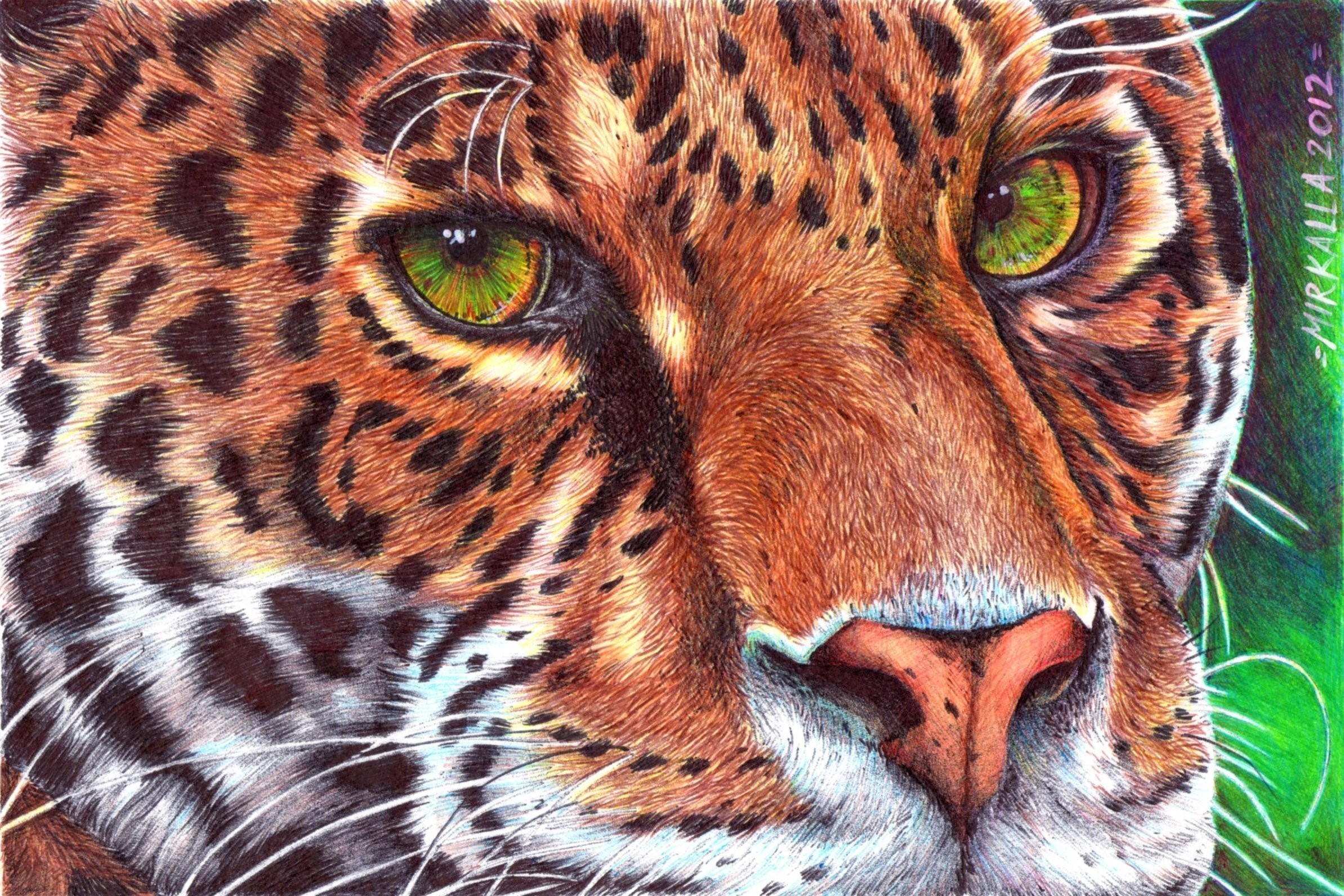 Close-up drawing of a jaguar's face HD Wallpaper