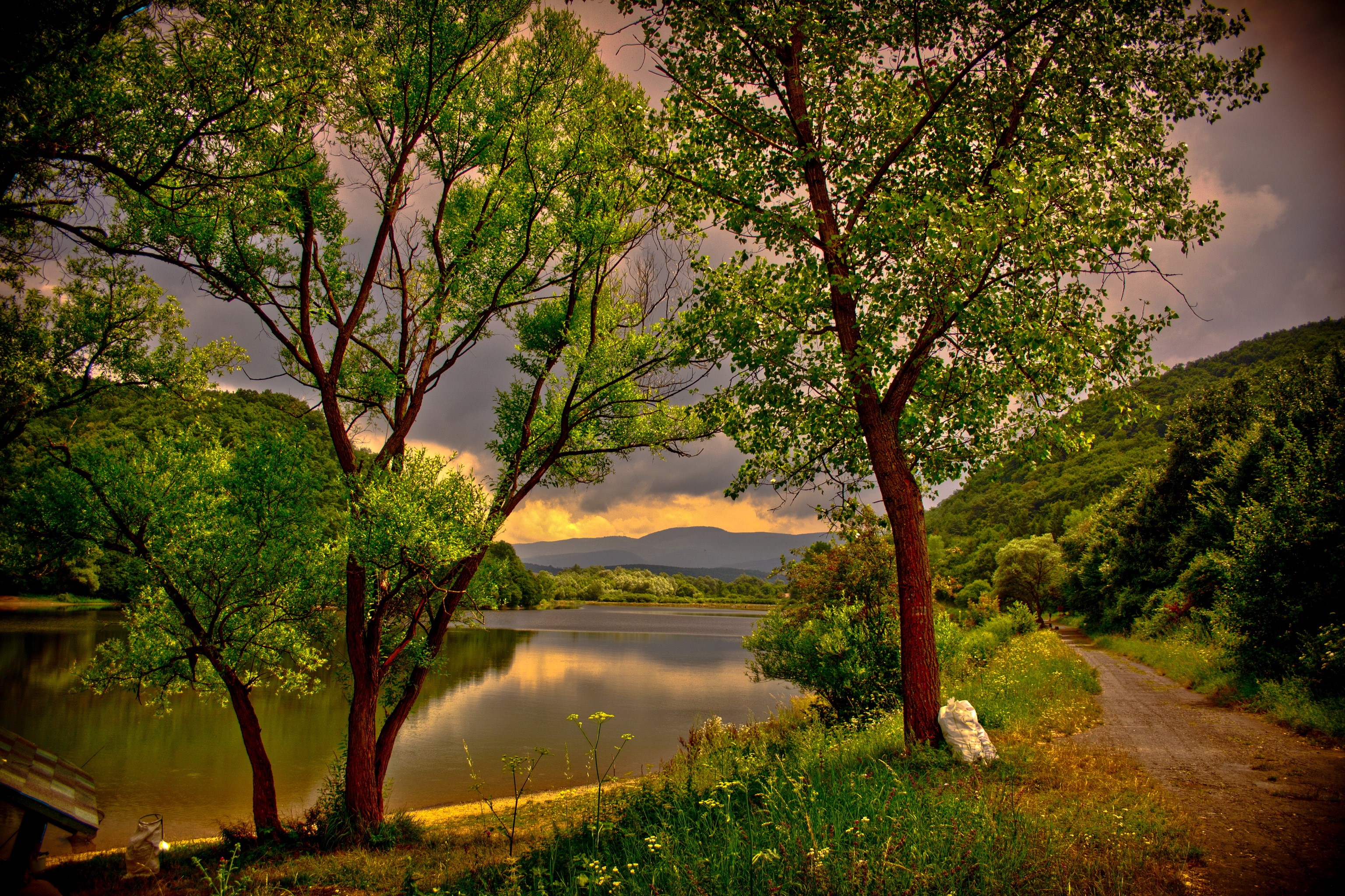 Lake and trees in Hungary HD Wallpaper
