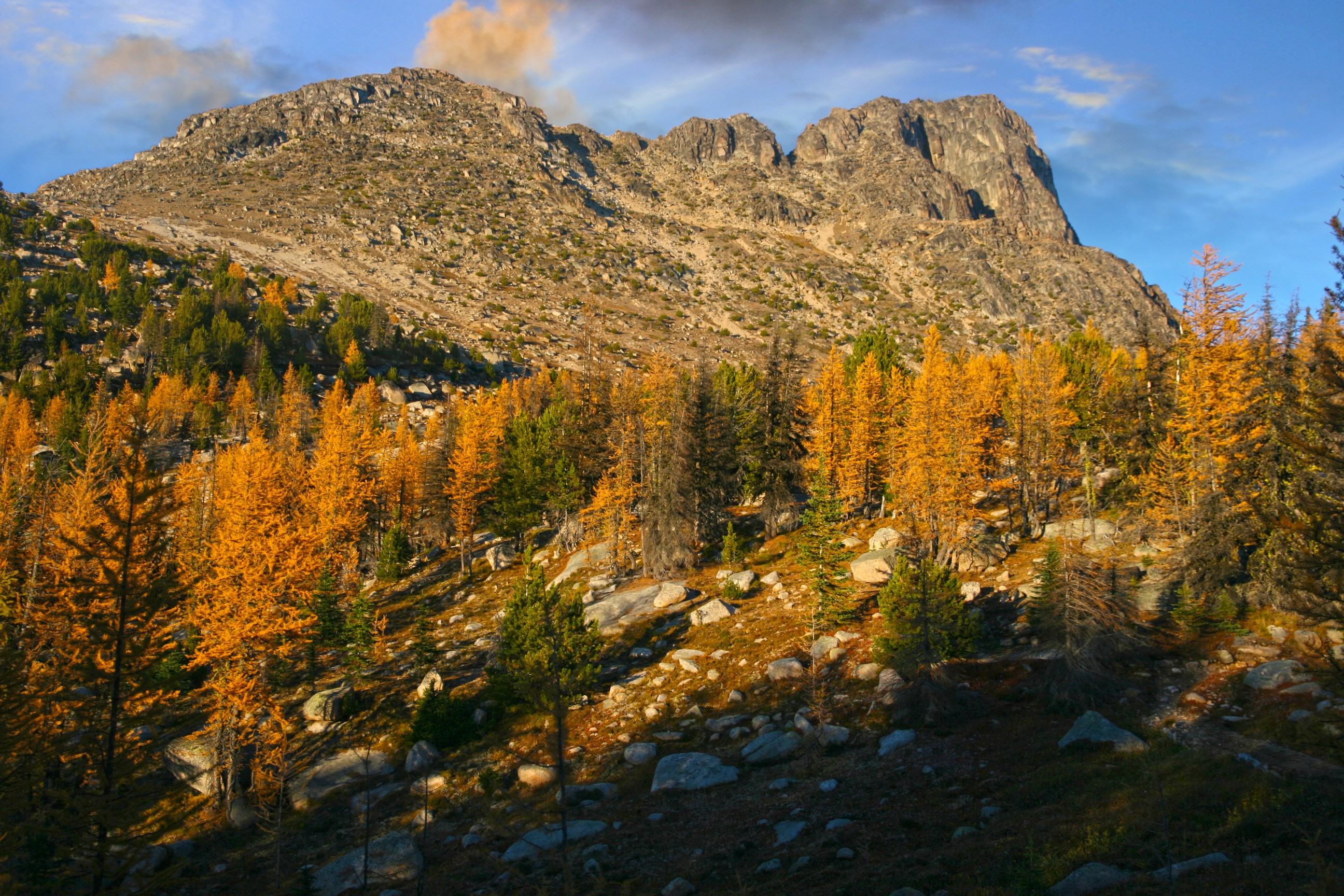 Autumn Larches in the Pasayten Wilderness Mountains HD Wallpaper