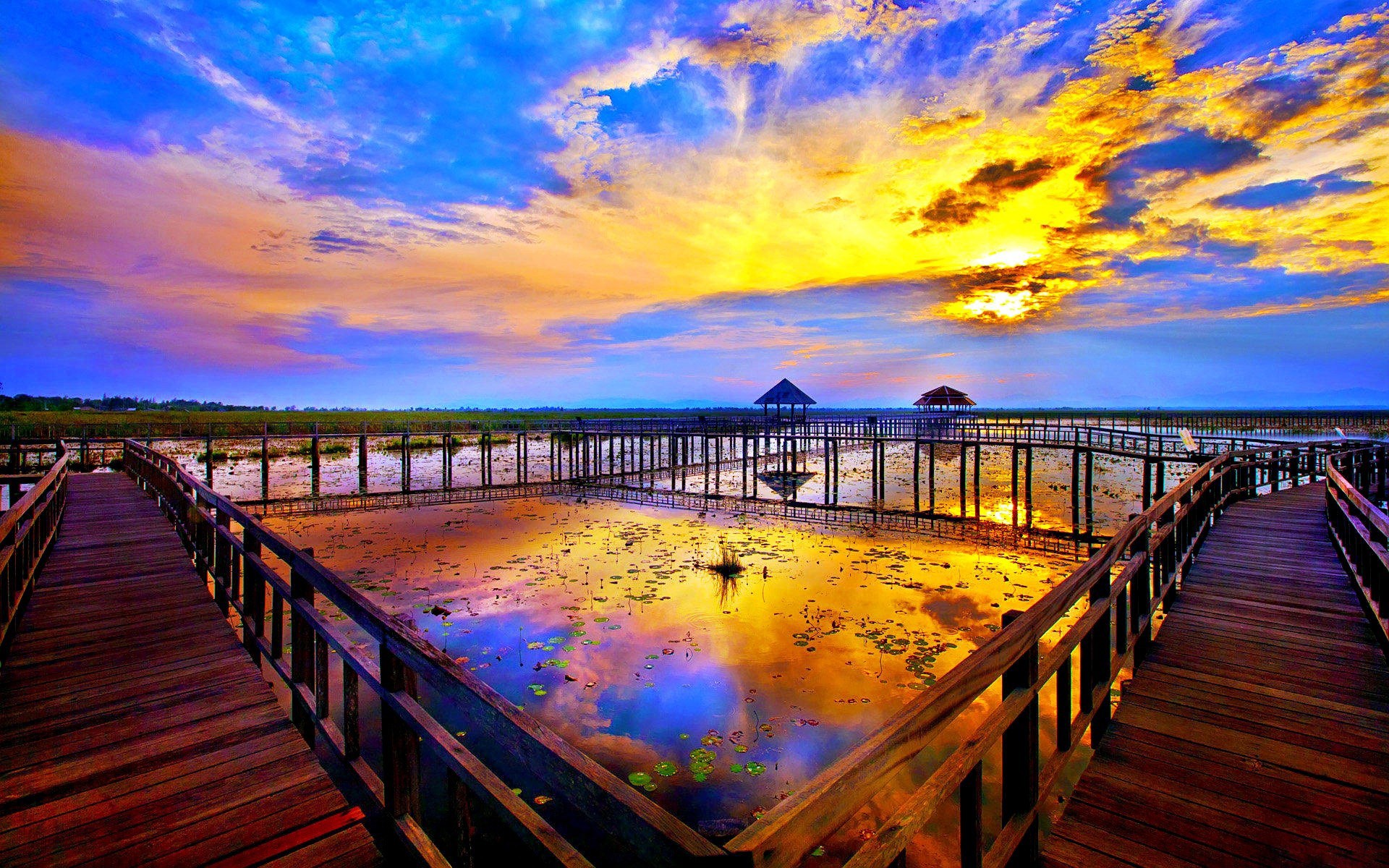 Wooden boardwalk over a lotus pond at sunset HD Wallpaper