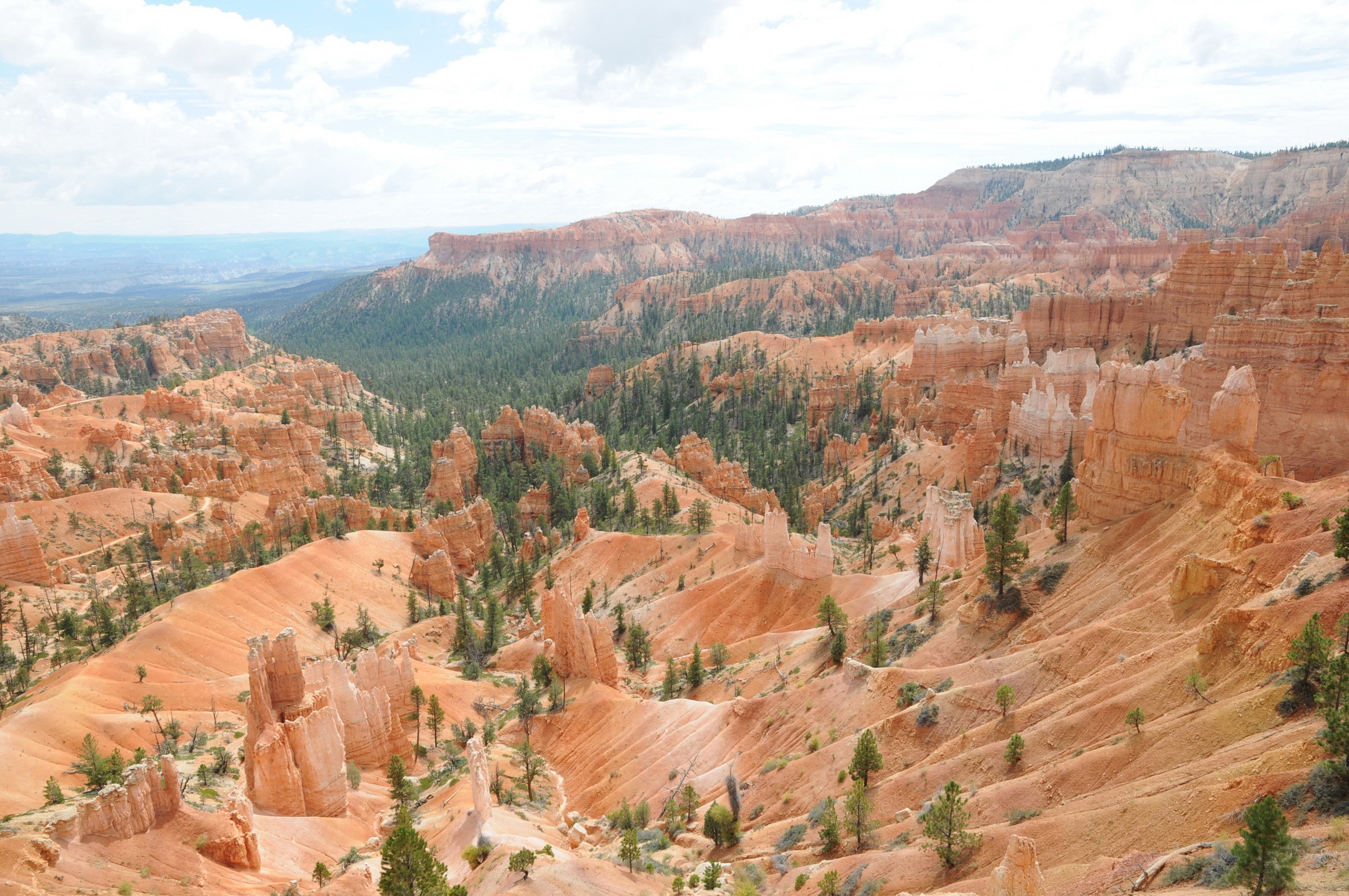 Bryce Canyon National Park, Utah HD Wallpaper