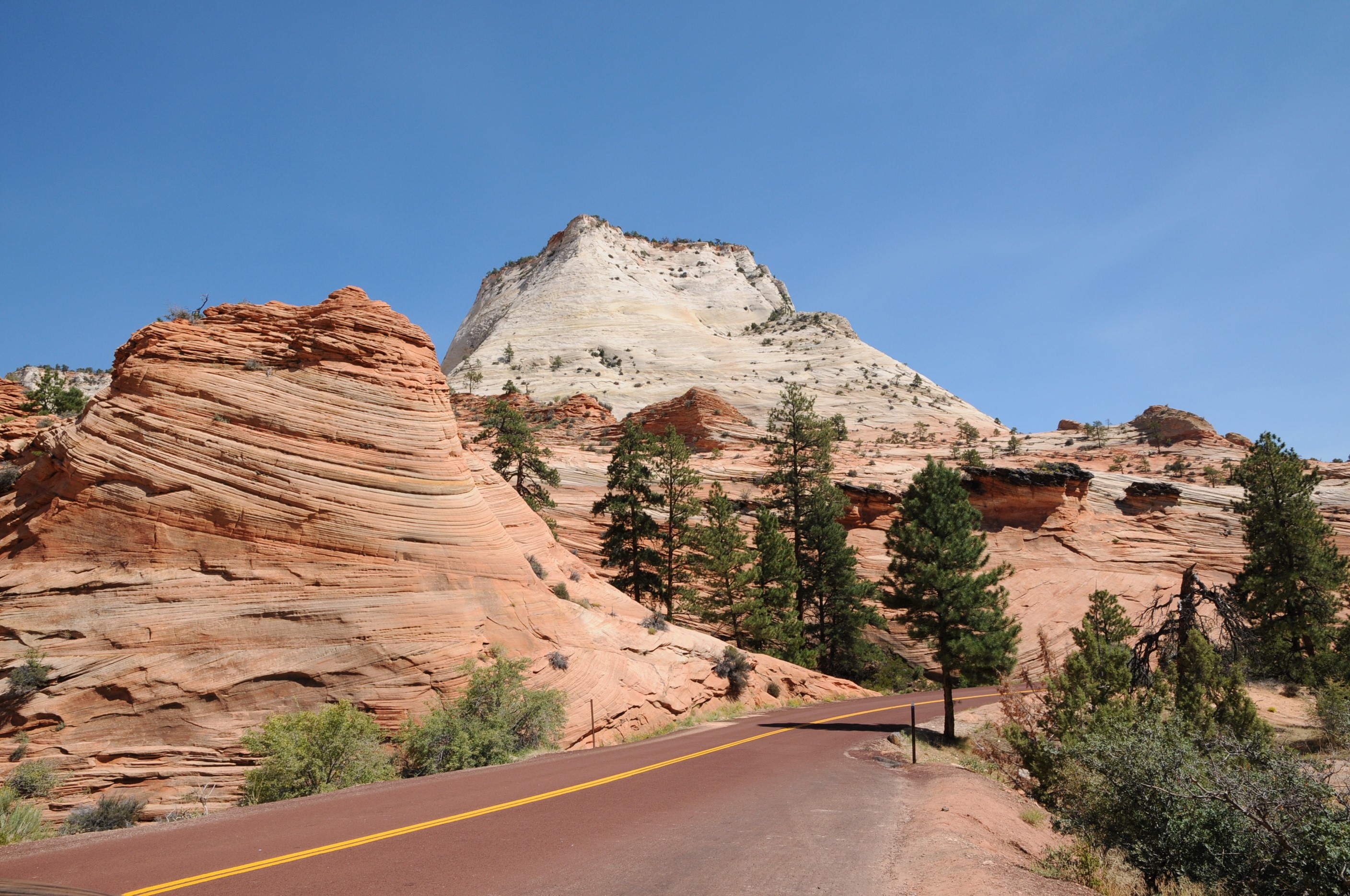 Road through Zion National Park with sandstone formations HD Wallpaper