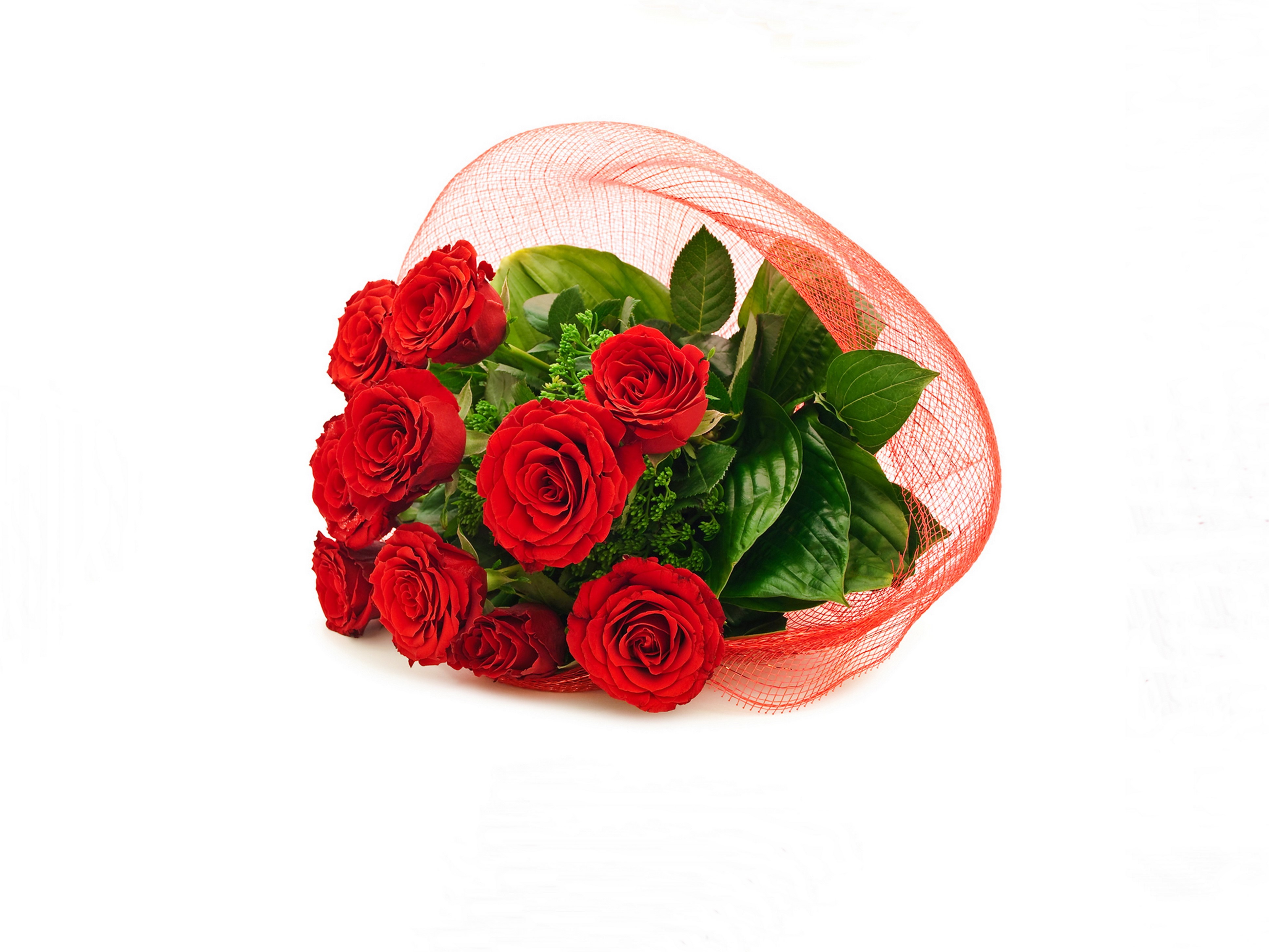 Bouquet of red roses with red netting HD Wallpaper
