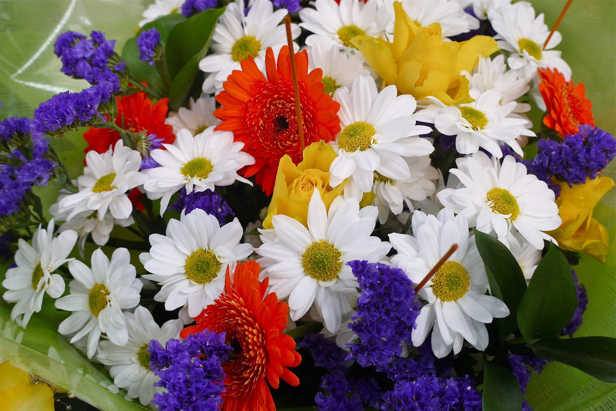 Bouquet of camomiles, gerberas, roses, and statice flowers HD Wallpaper
