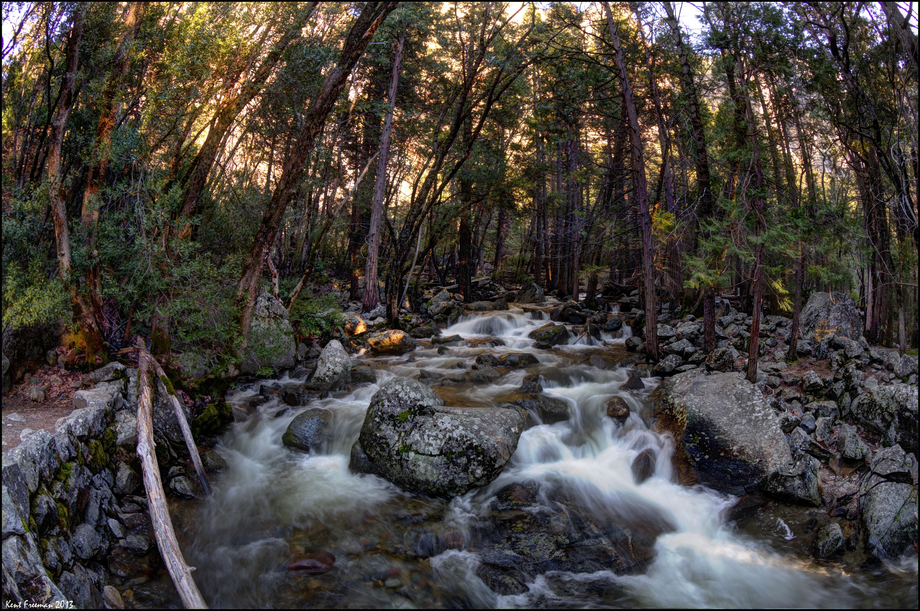 River flowing through a forest in Yosemite National Park, California HD Wallpaper