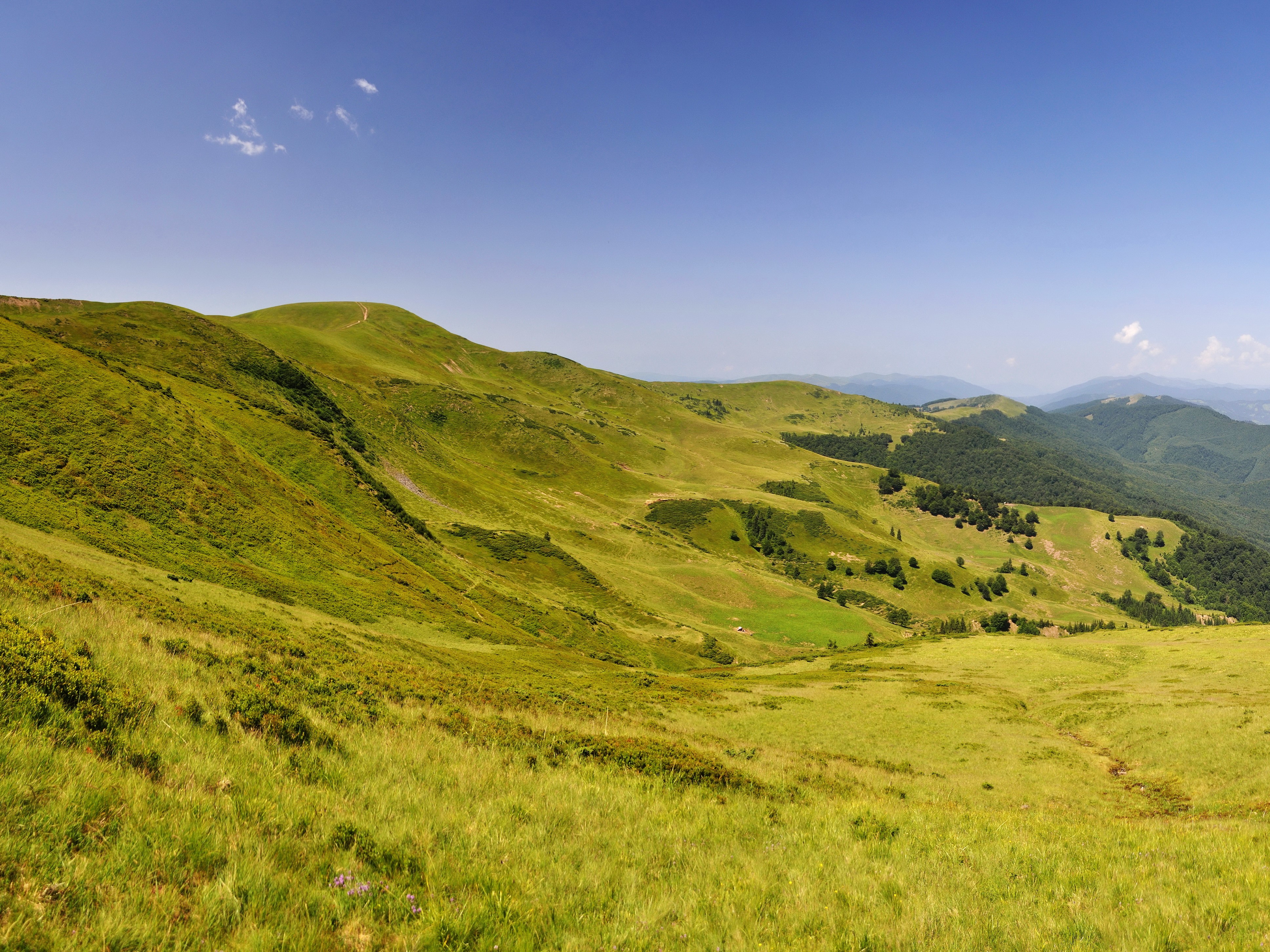 Mountains and green hills in Ukraine HD Wallpaper