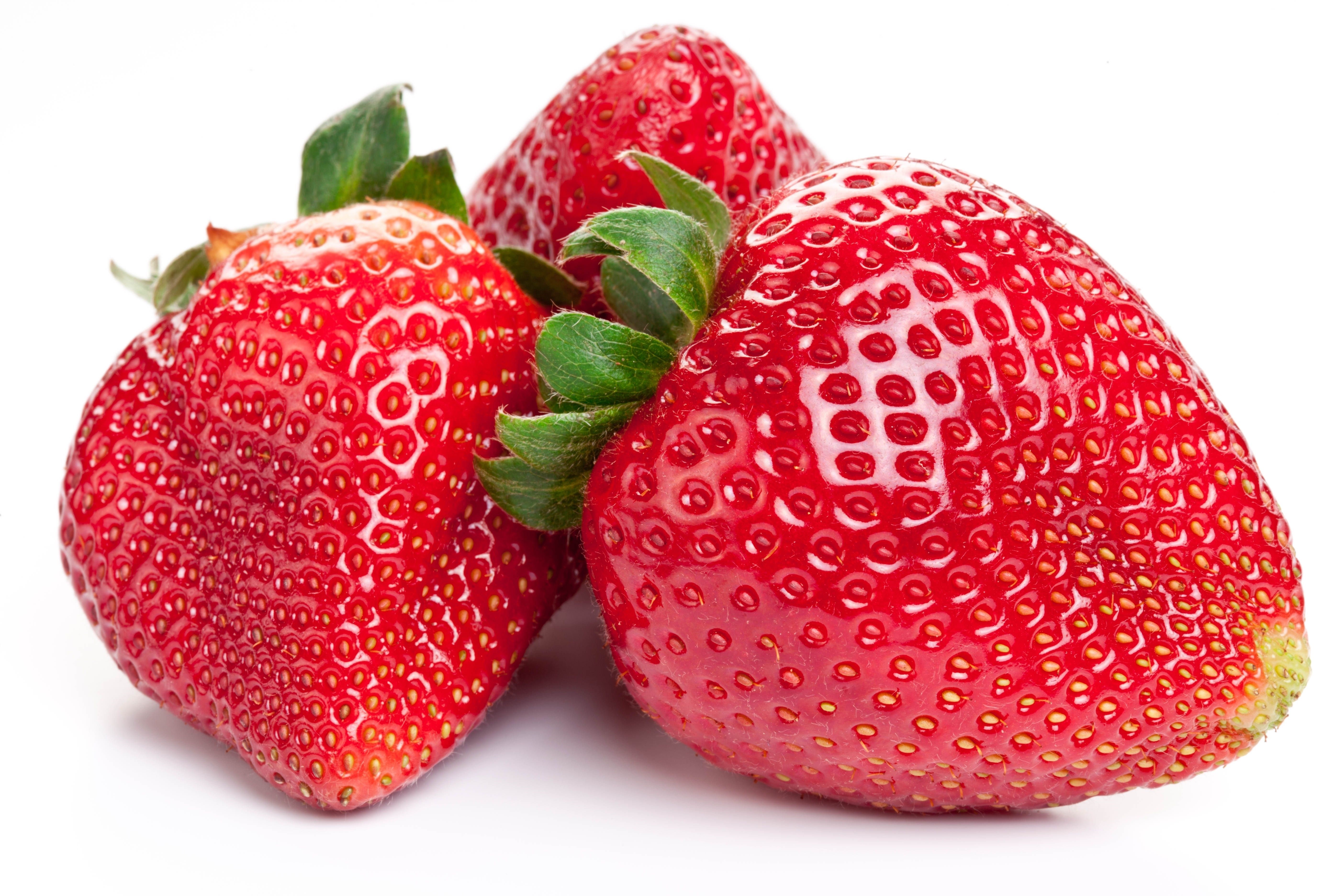 Three ripe strawberries on a white background HD Wallpaper