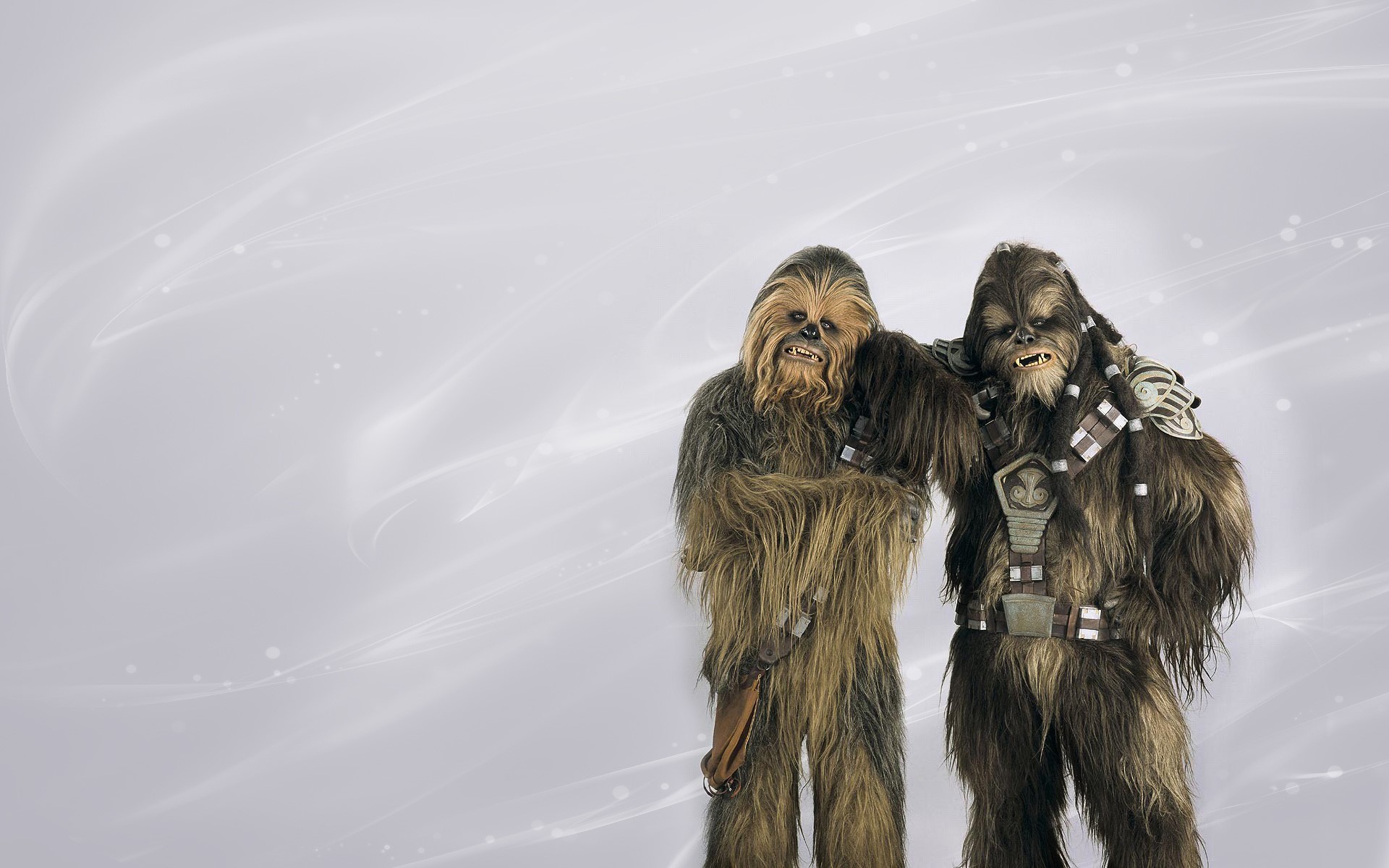 Two Chewbaccas from Star Wars HD Wallpaper