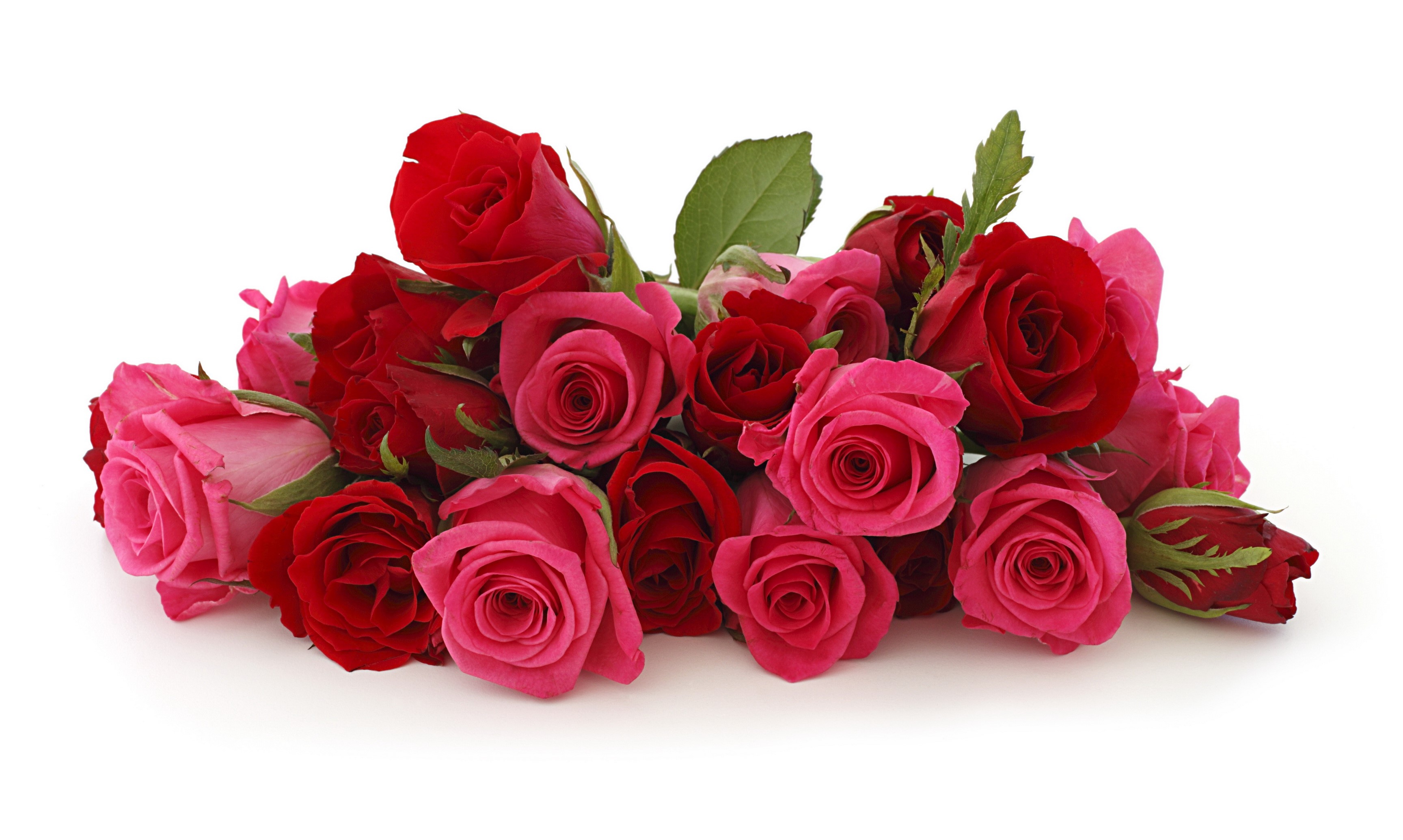 Bouquet of red and pink roses HD Wallpaper