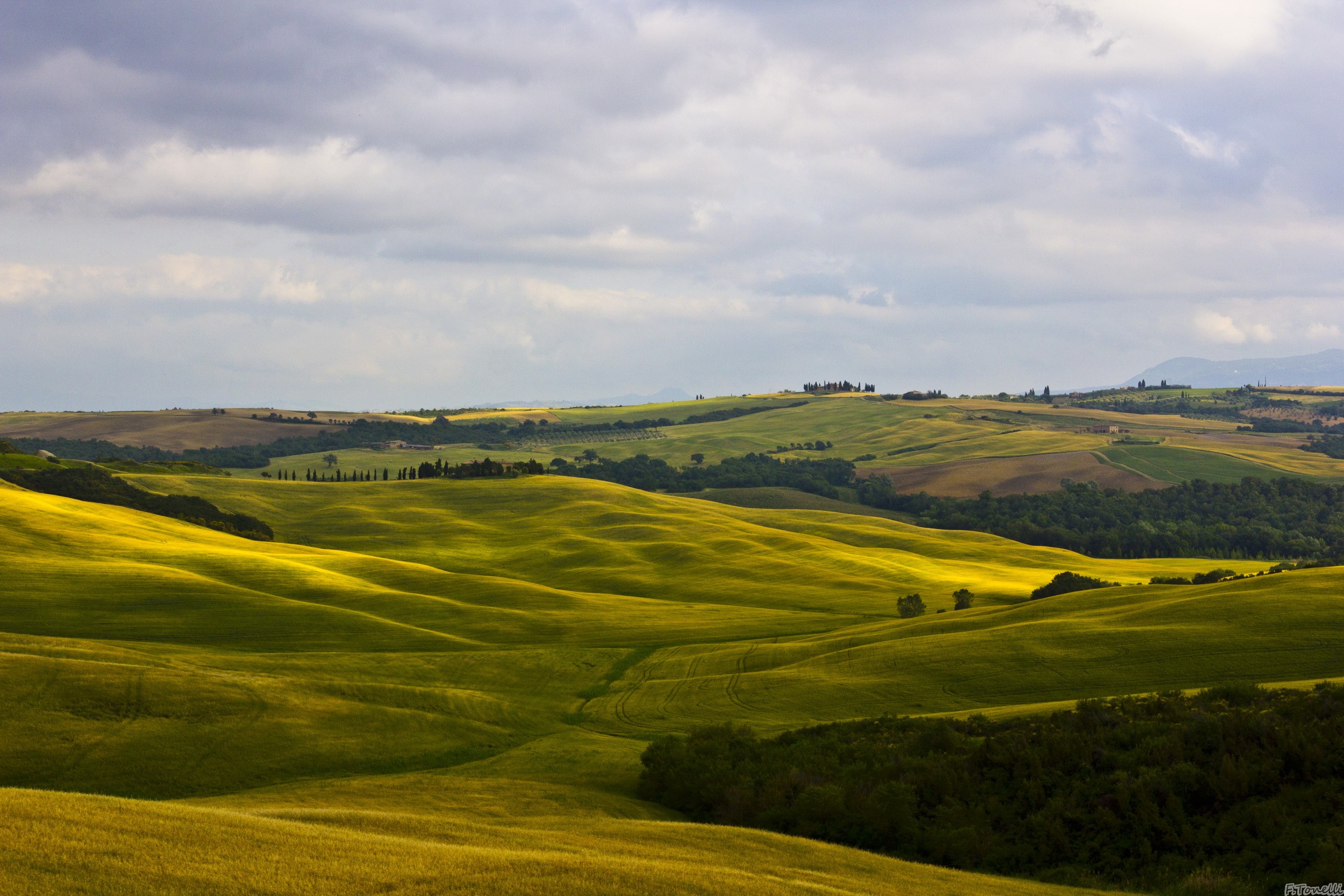 Rolling green fields in Tuscany, Italy HD Wallpaper