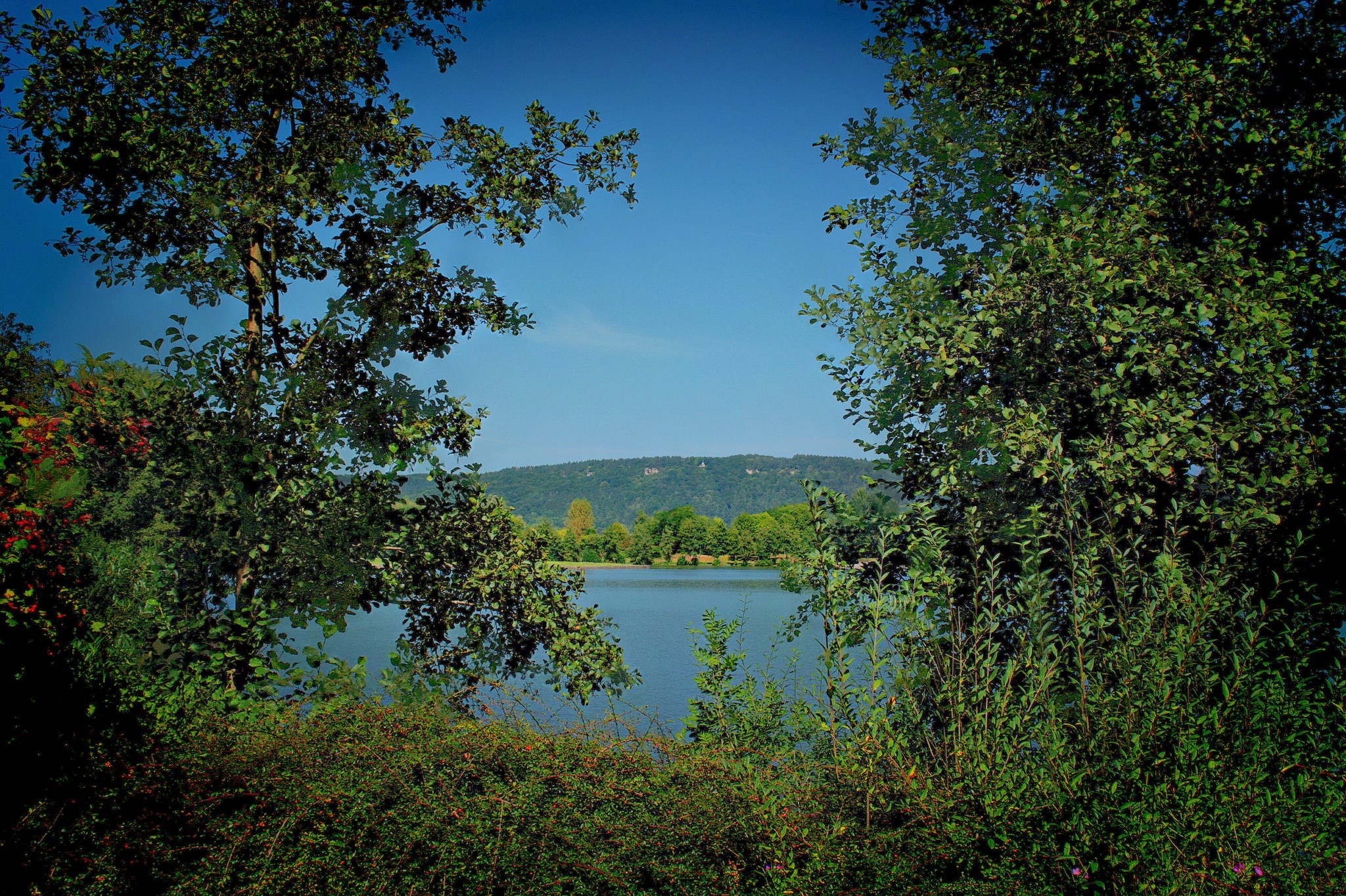 Trees framing a lake with a distant hill HD Wallpaper