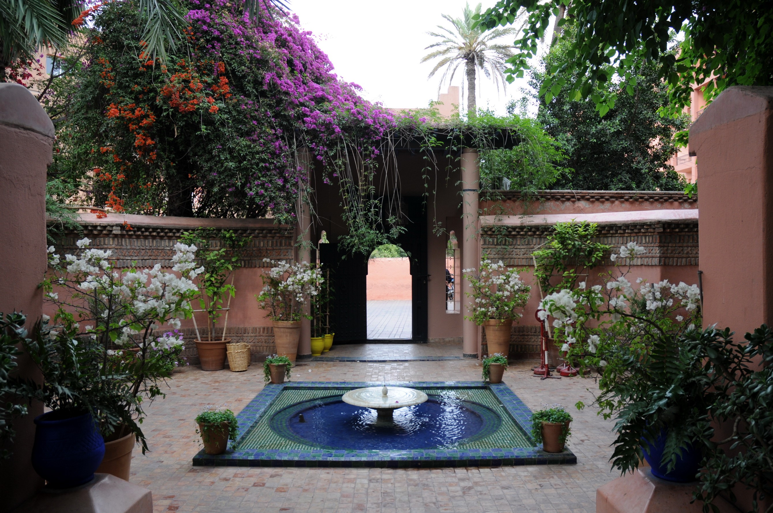 Morocco Marrakech Jardin Majorelle Gardens HD Wallpaper Rare Gallery