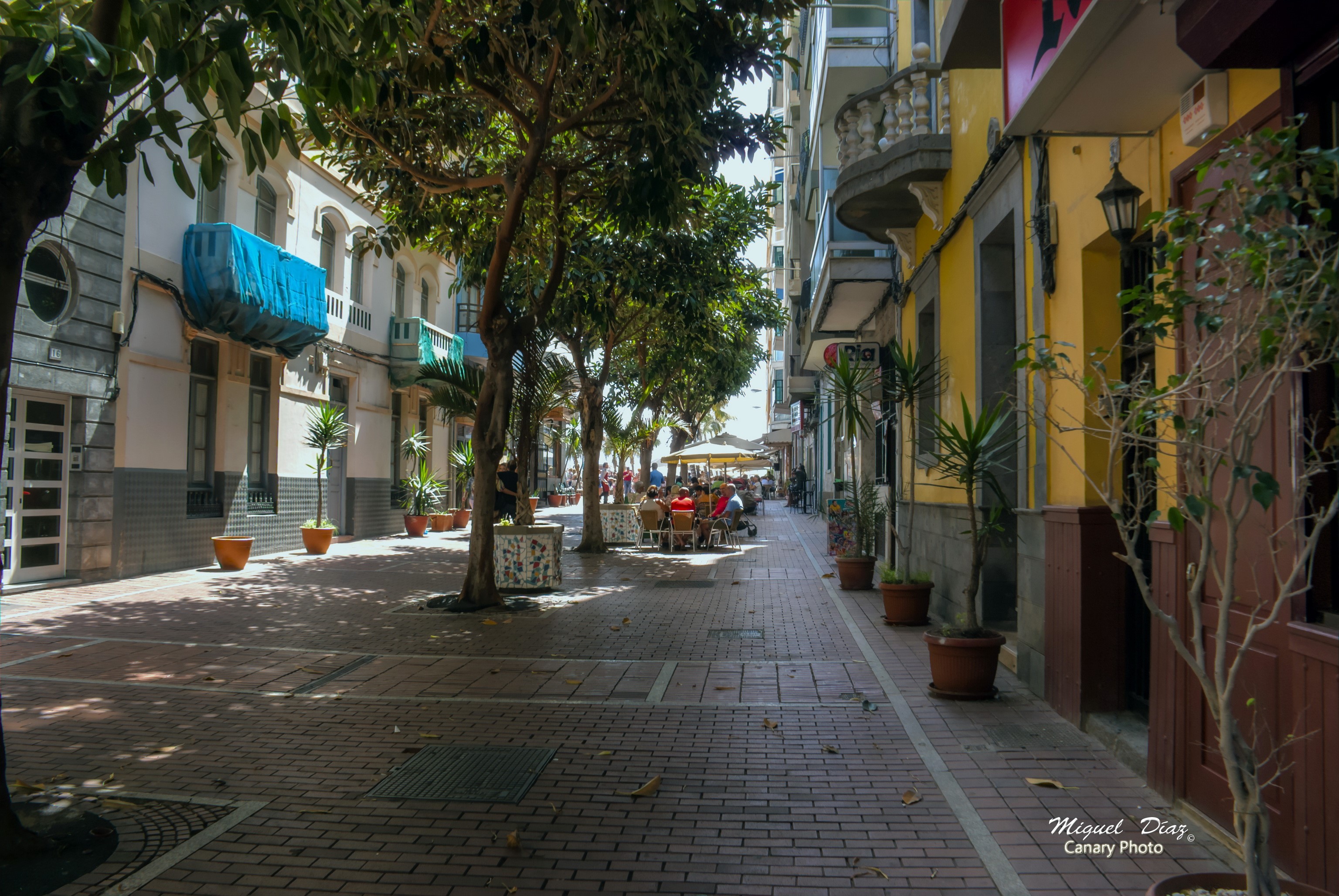 Street scene in Gran Canaria, Canary Islands, Spain HD Wallpaper